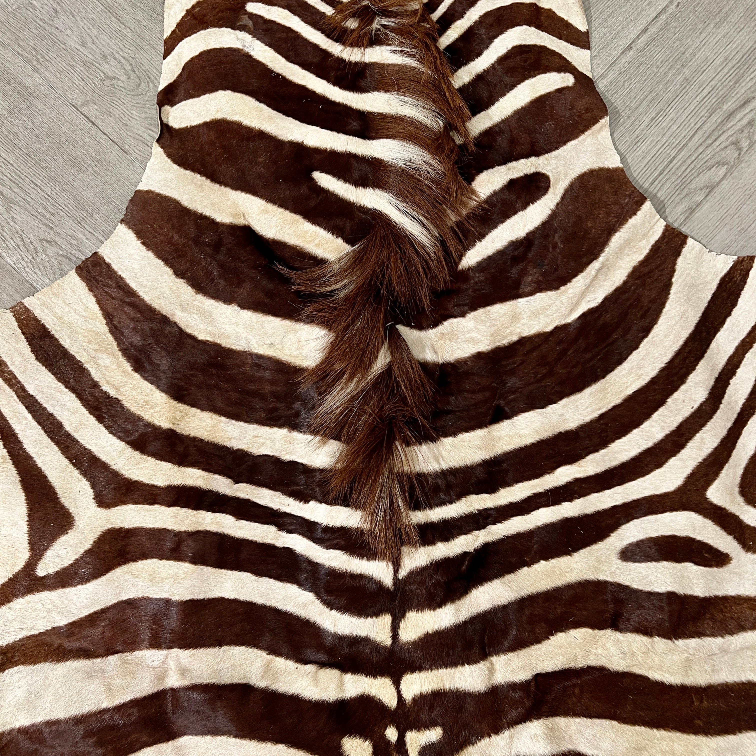 African Vintage Zebra Hide Rug, Africa, c. 1970's