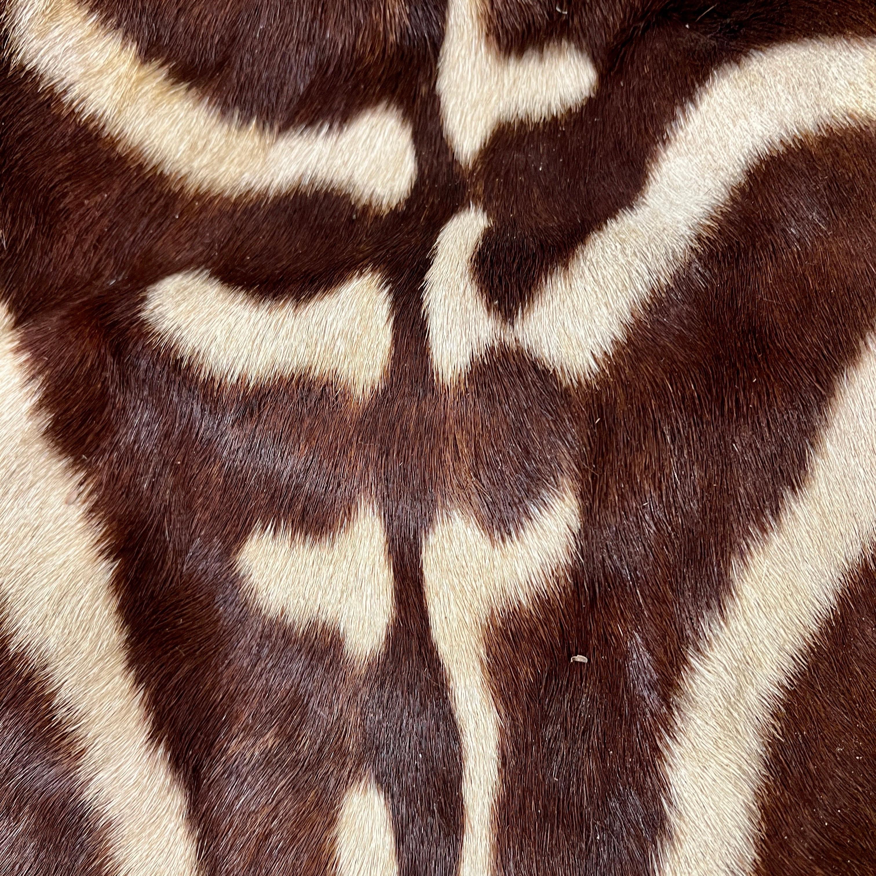 Vintage Zebra Hide Rug, Africa, c. 1970's 2