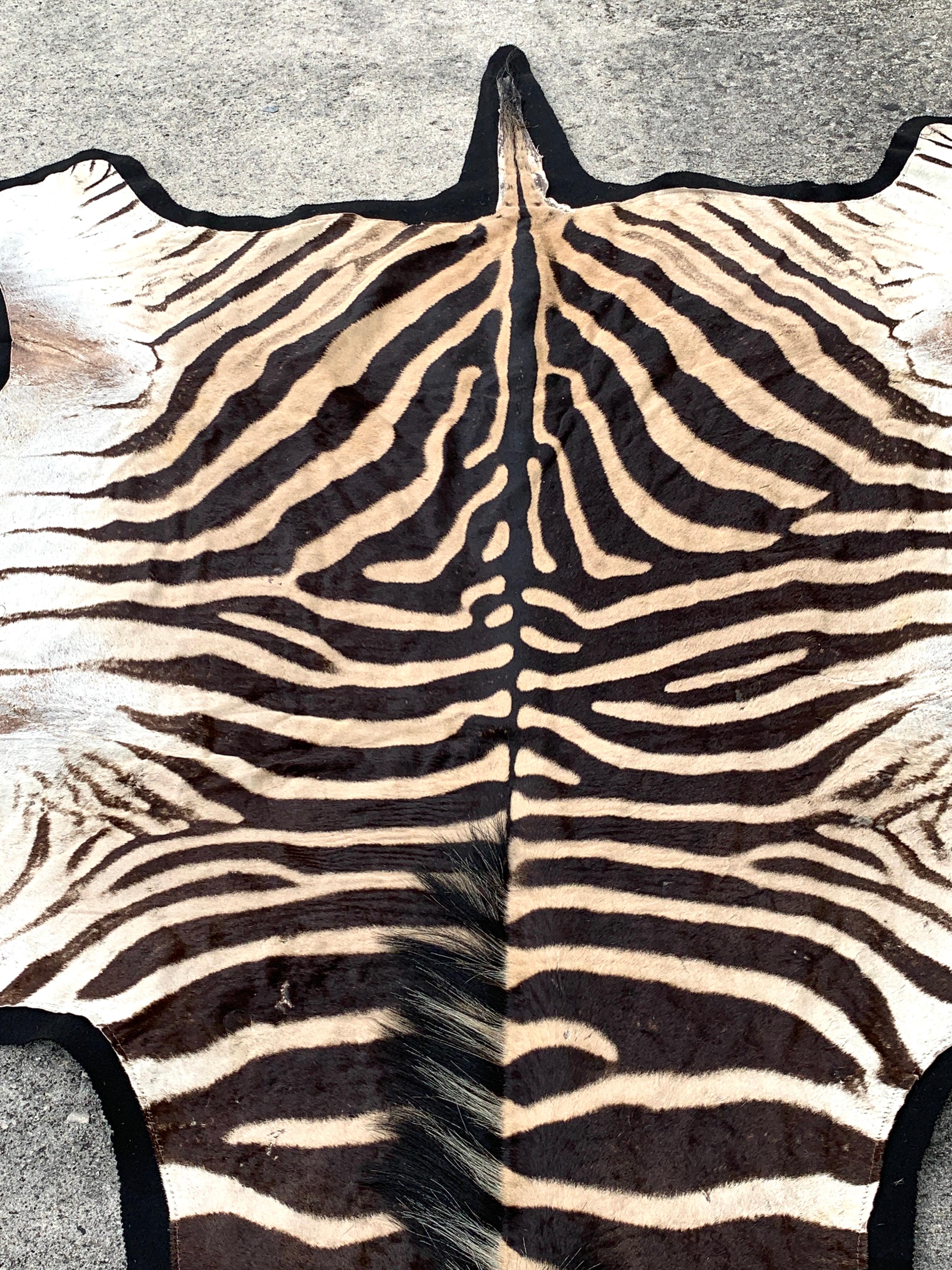 Vintage Zebra Hide Rug, Newly Backed 4