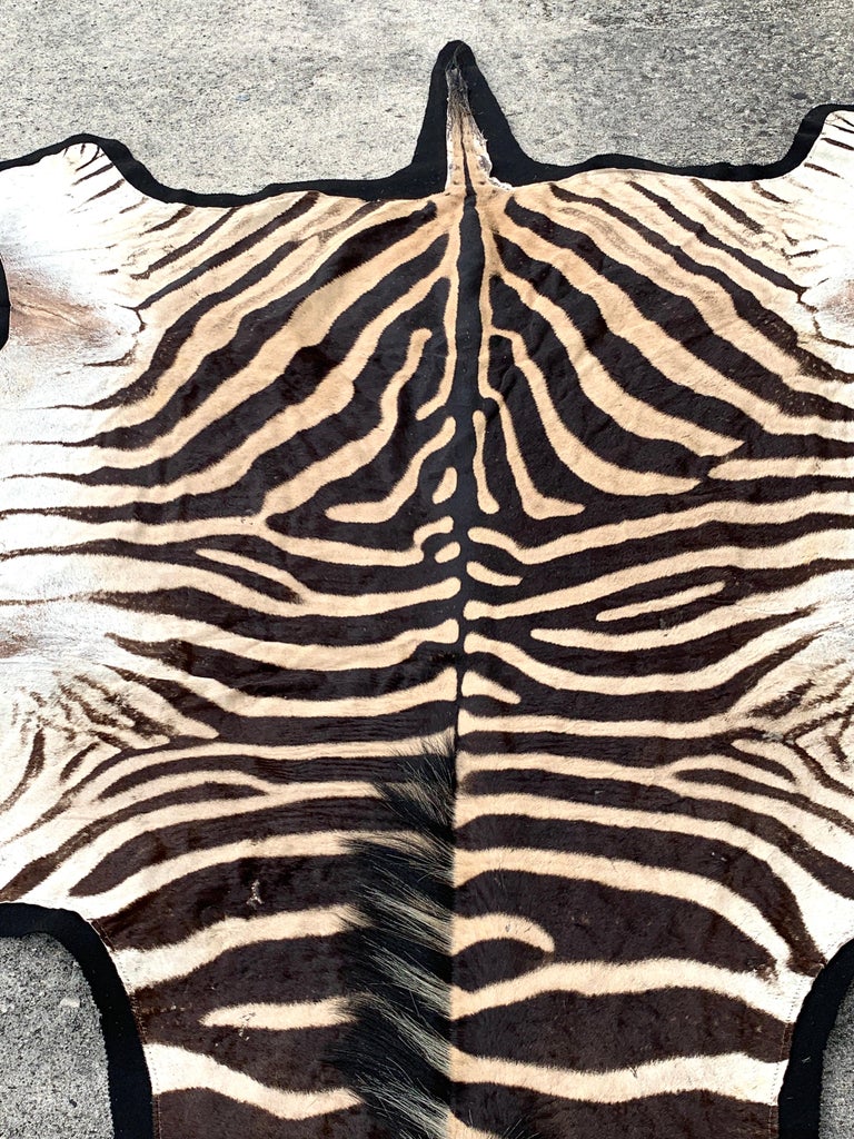 Vintage Zebra Hide Rug, Newly Backed at 1stDibs
