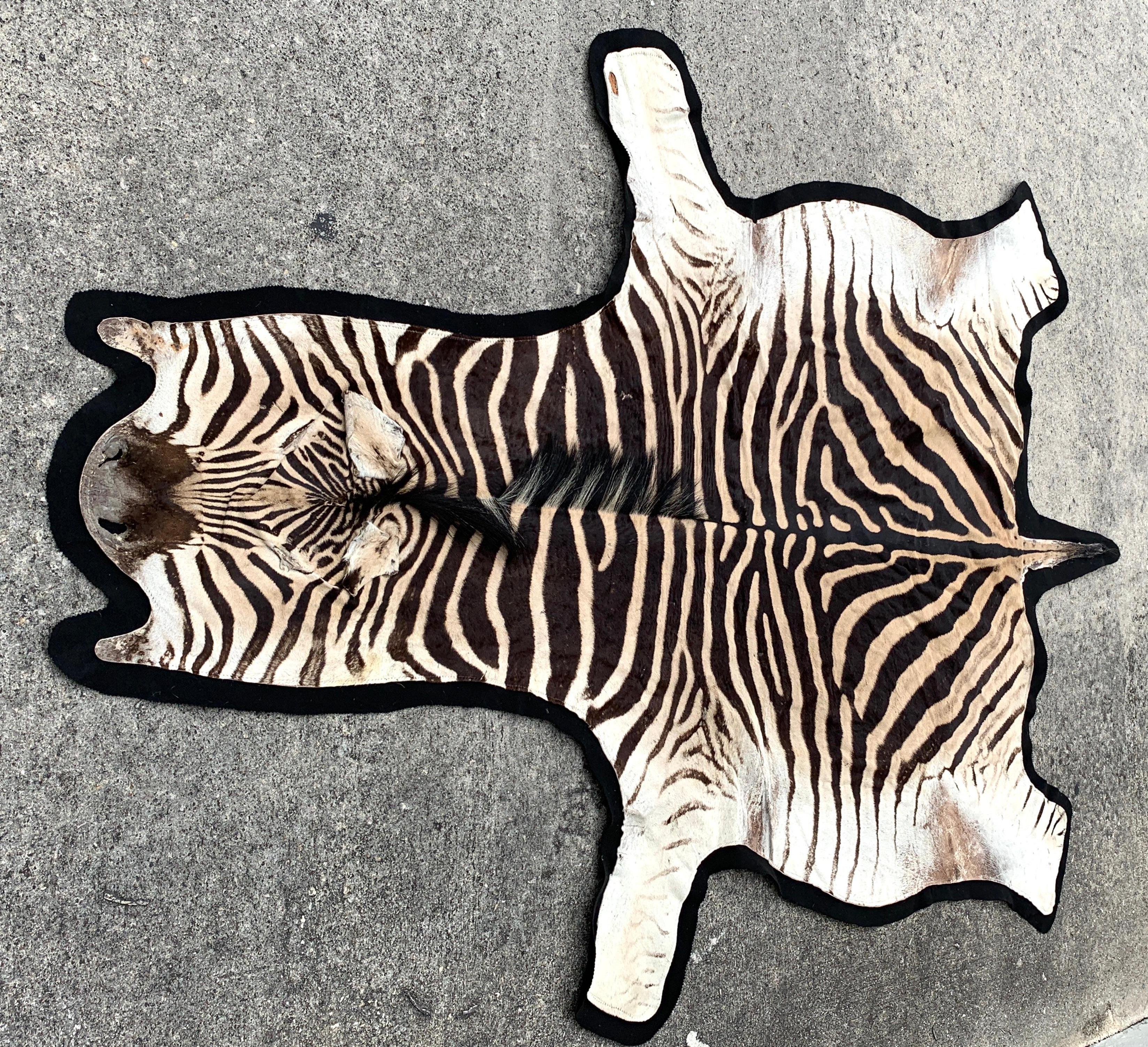 Sporting Art Vintage Zebra Hide Rug, Newly Backed