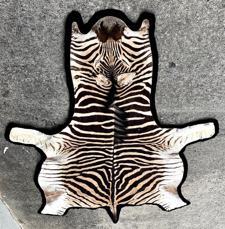 Vintage Zebra Hide Rug, Newly Backed at 1stDibs