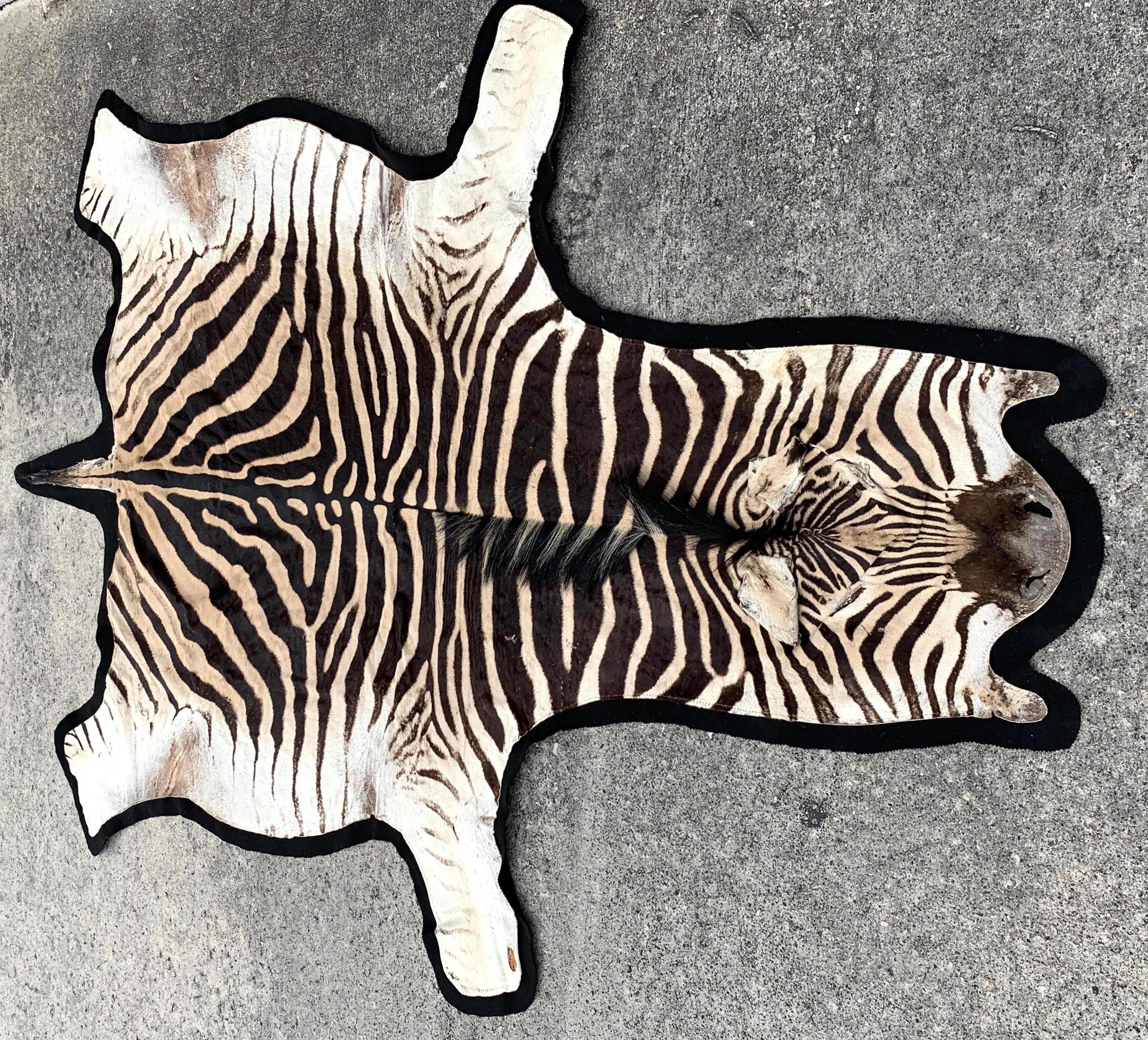 Vintage Zebra Hide Rug, Newly Backed In Good Condition In West Palm Beach, FL
