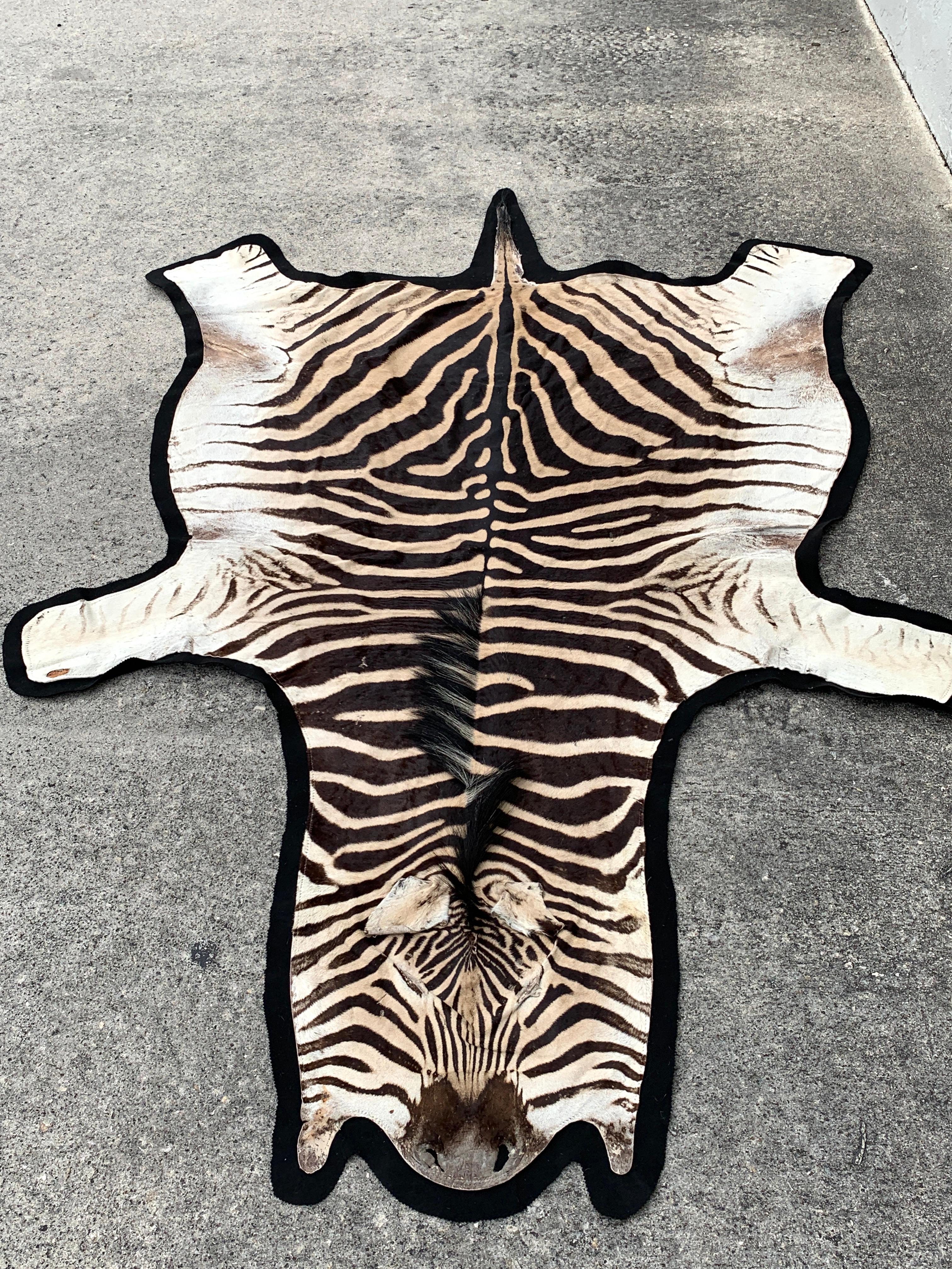 Animal Skin Vintage Zebra Hide Rug, Newly Backed