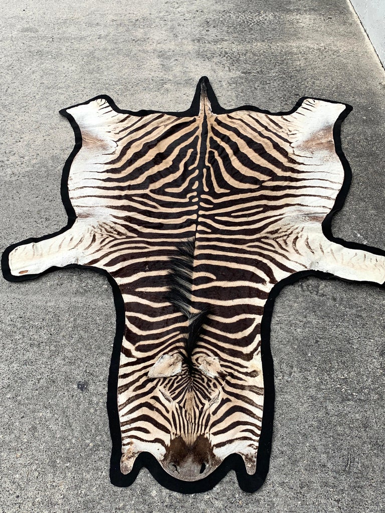 Vintage Zebra Hide Rug, Newly Backed For Sale at 1stdibs