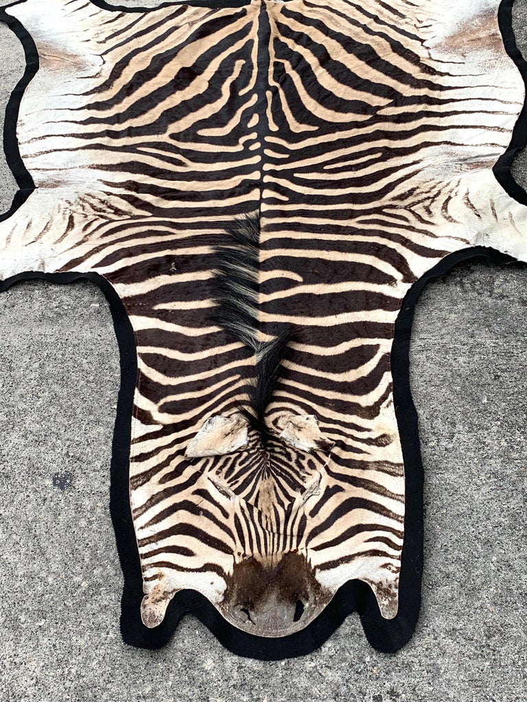 Vintage Zebra Hide Rug, Newly Backed at 1stDibs