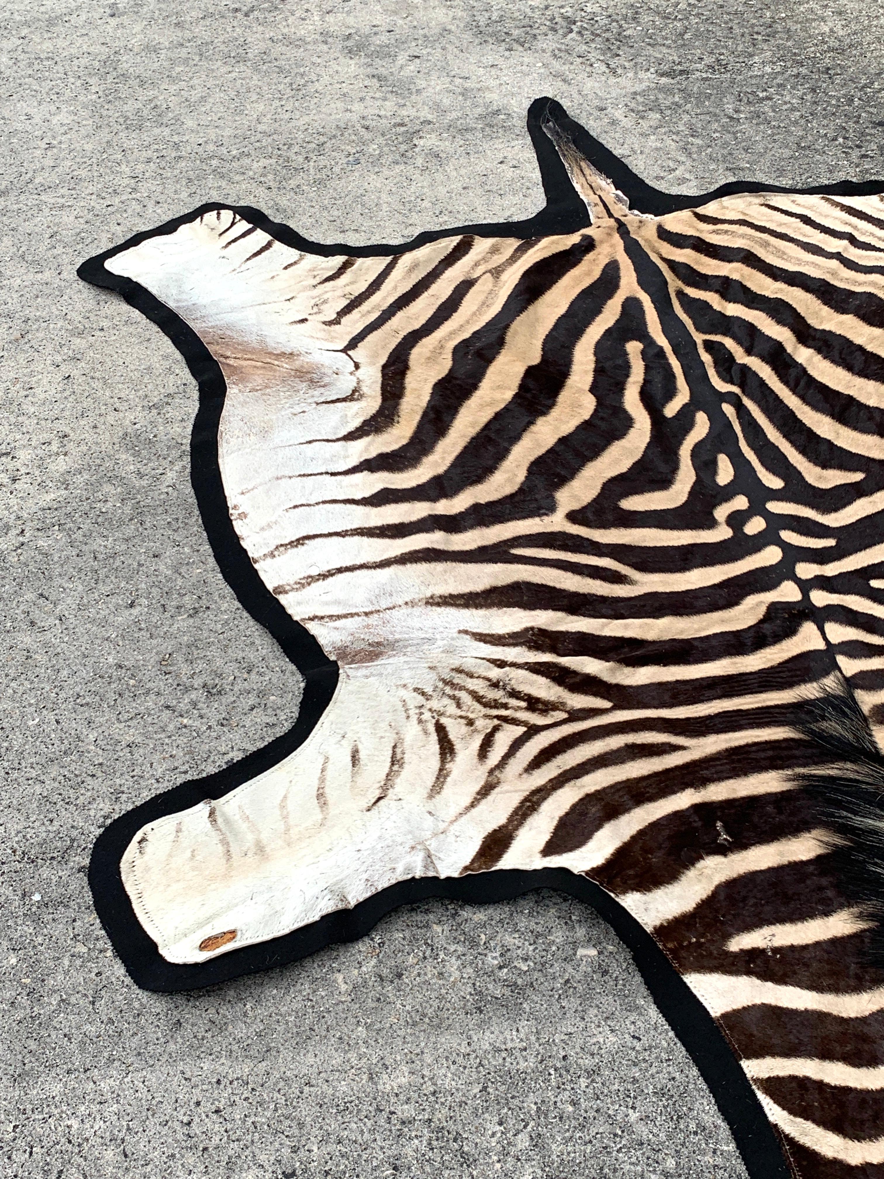 Vintage Zebra Hide Rug, Newly Backed 2