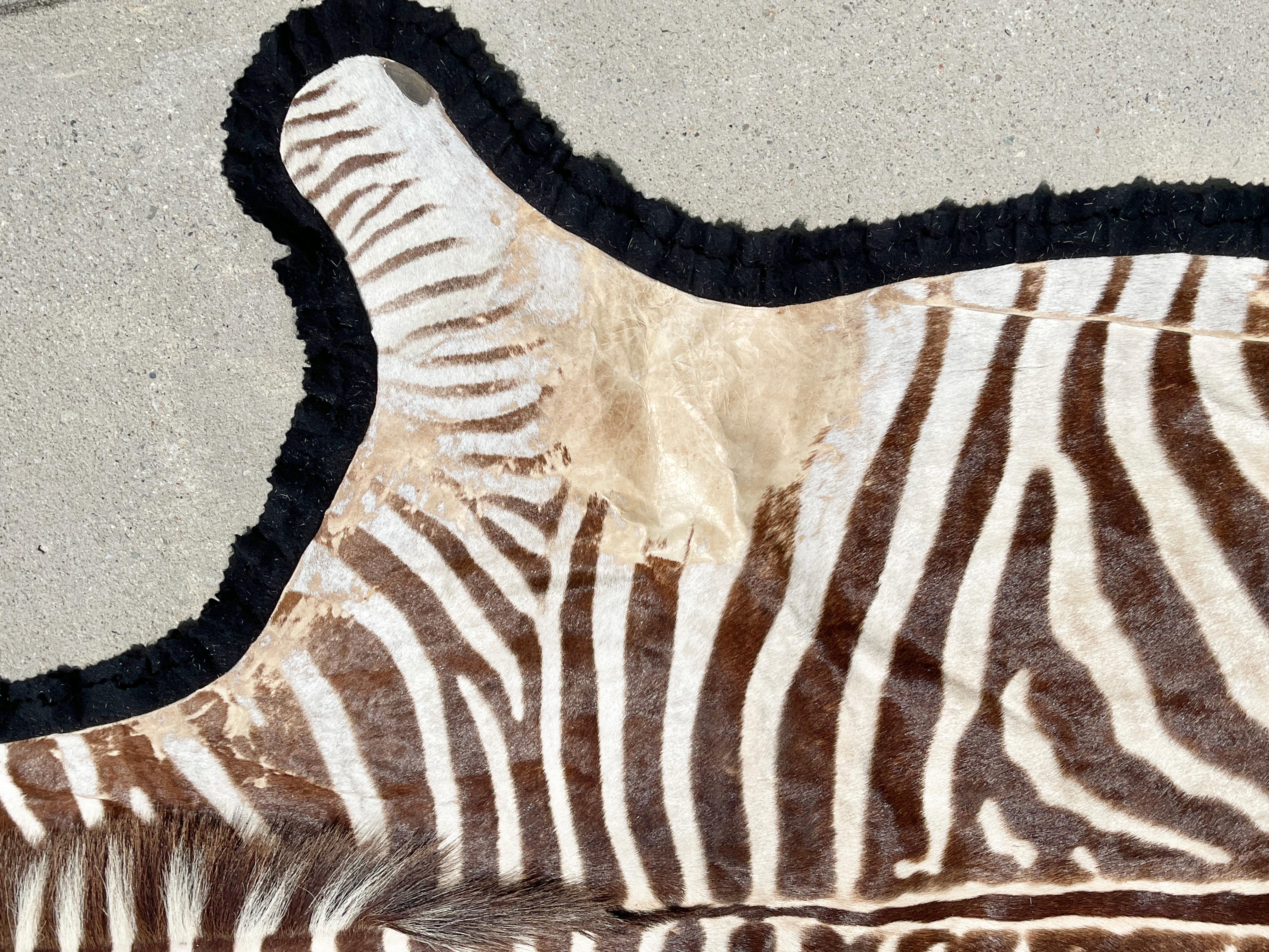 Vintage Zebra Hide Rug with Felt Back 4