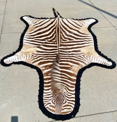 Vintage Zebra Hide Rug with Felt Back