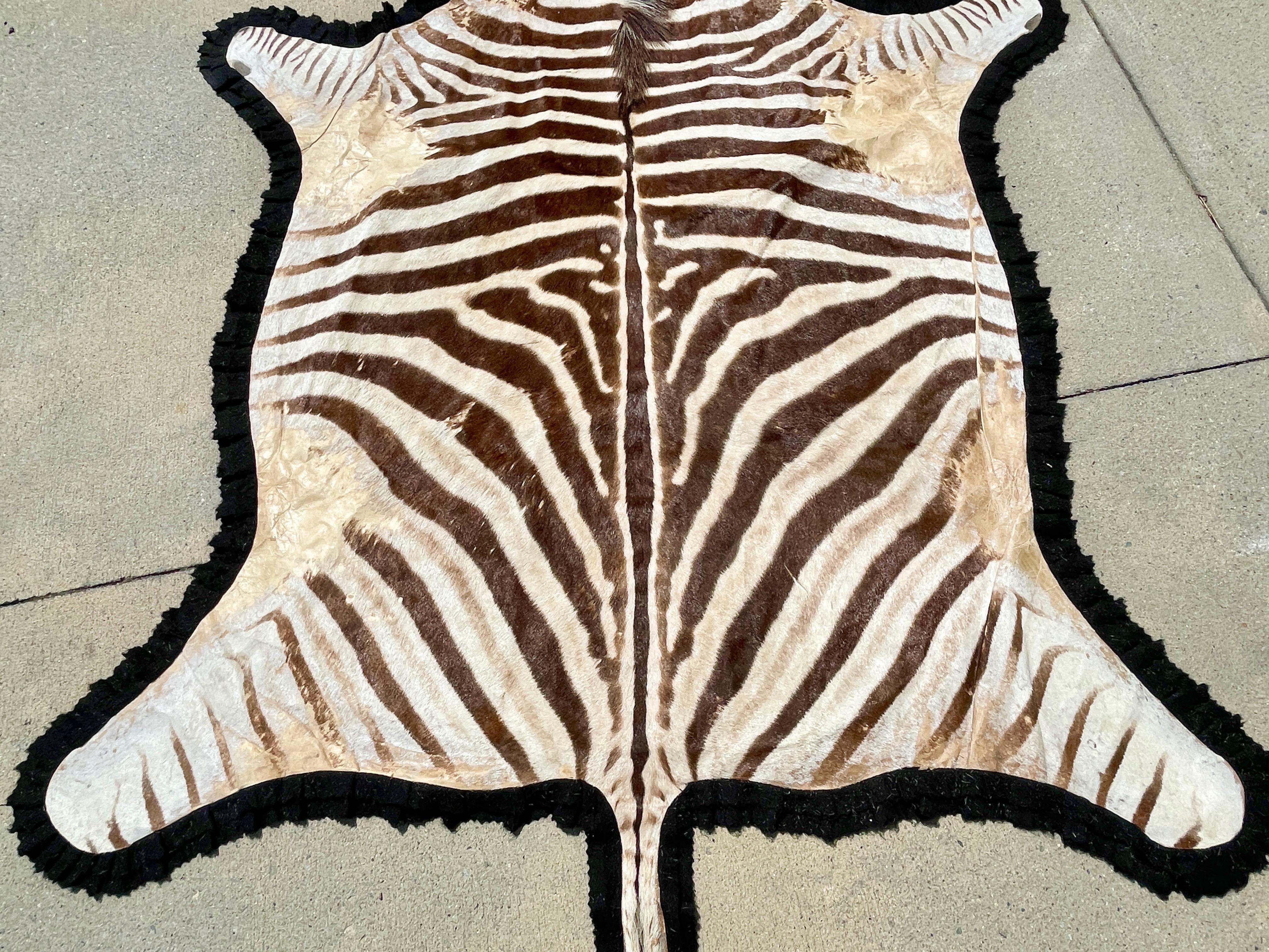 Mid-20th Century Vintage Zebra Hide Rug with Felt Back