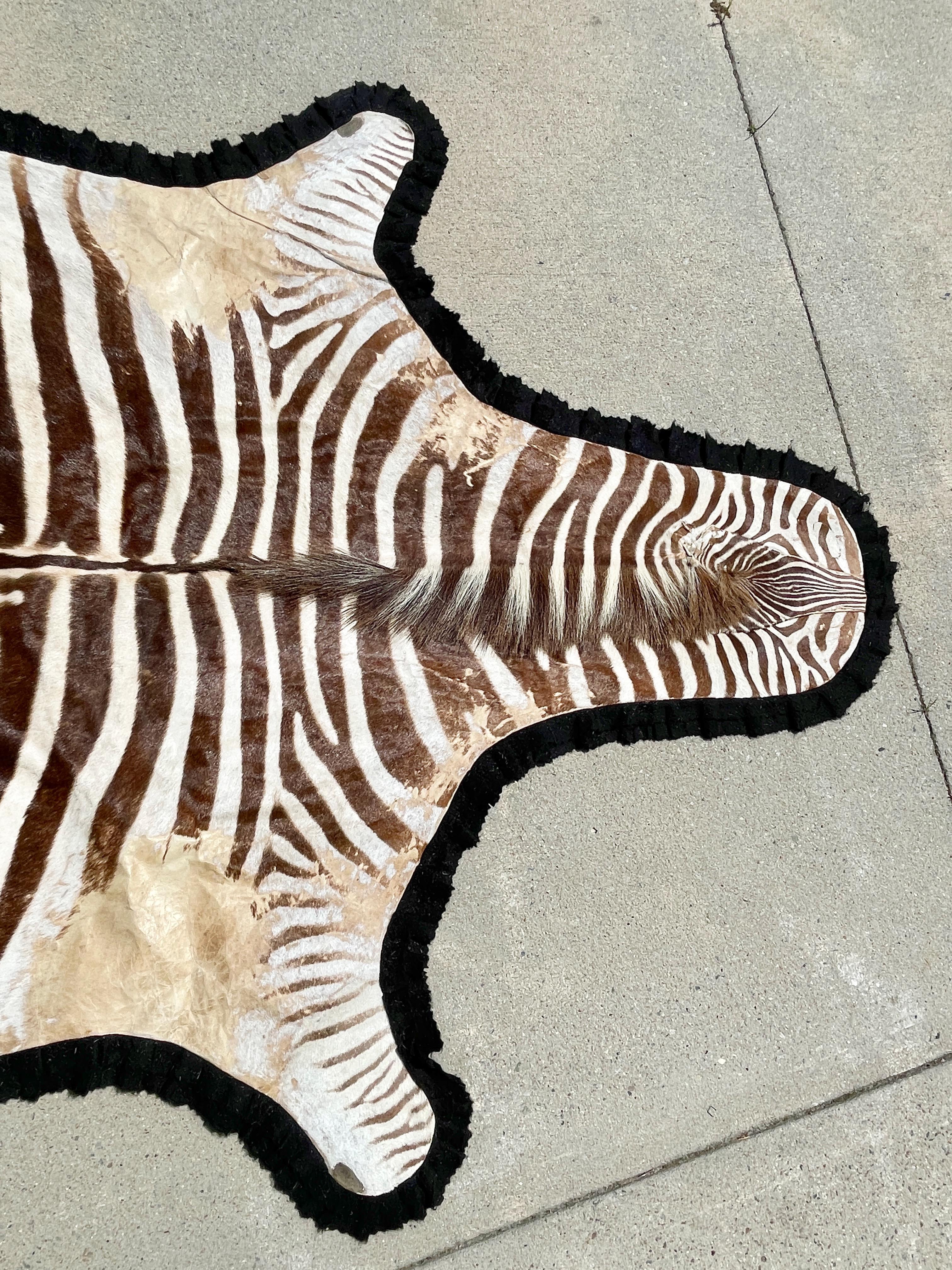 Vintage Zebra Hide Rug with Felt Back 1