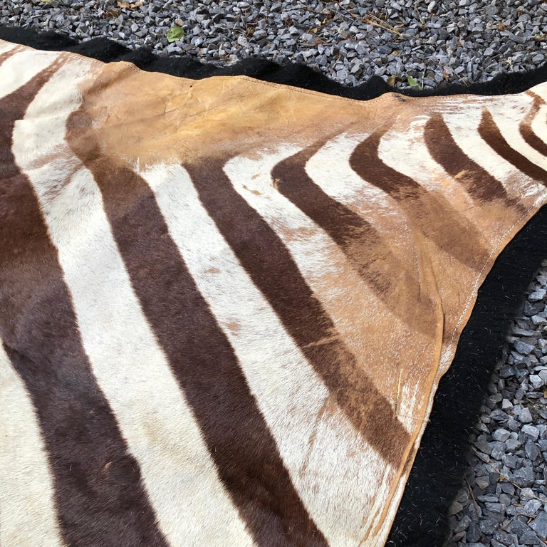 Vintage Zebra Rug at 1stDibs