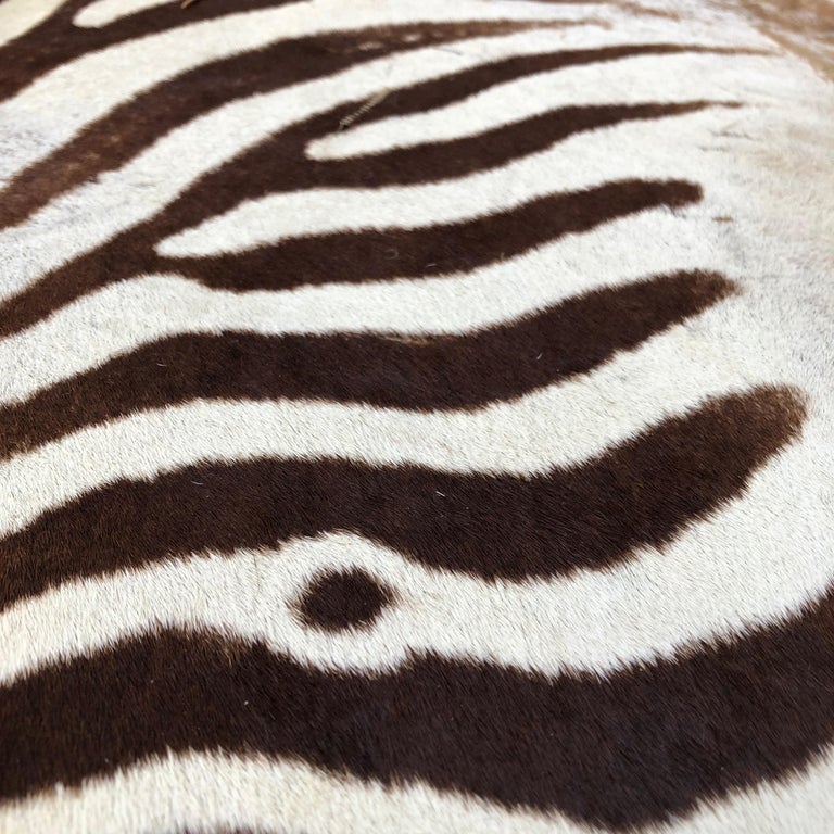 Vintage Zebra Rug at 1stDibs