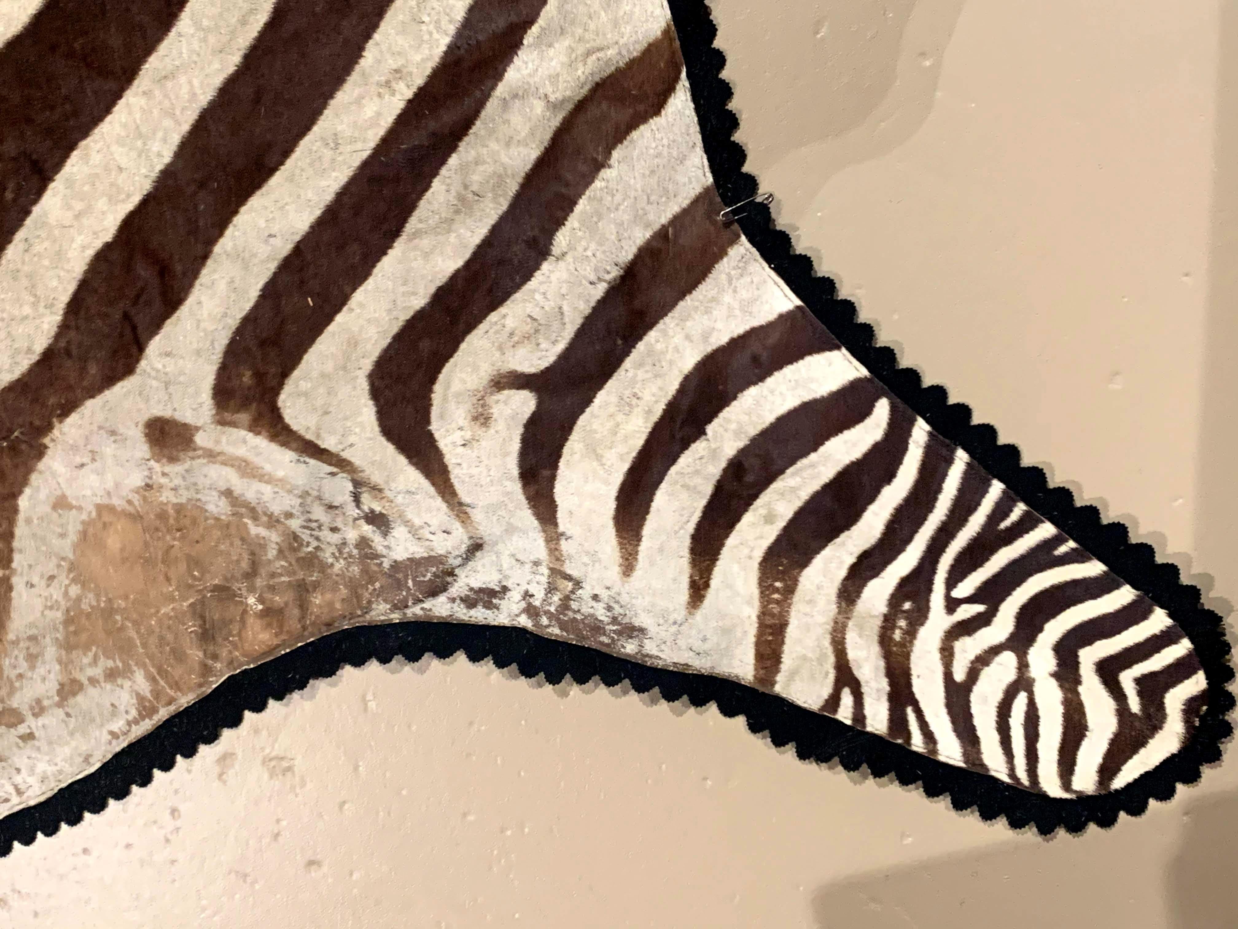 A fine vintage zebra skin rug on black felt conforming base, with makers tag “Jonas Brothers, Taxidermy Studios, Mt. Vernon, NY”. Good overall condition, with some areas of wear. Probably dates to the early to mid-20th century. Dimensions: 93 in H x