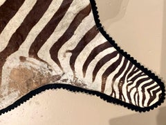 Alter Zebrafellteppich von Jonas Bros Taxidermy Studios:: New York