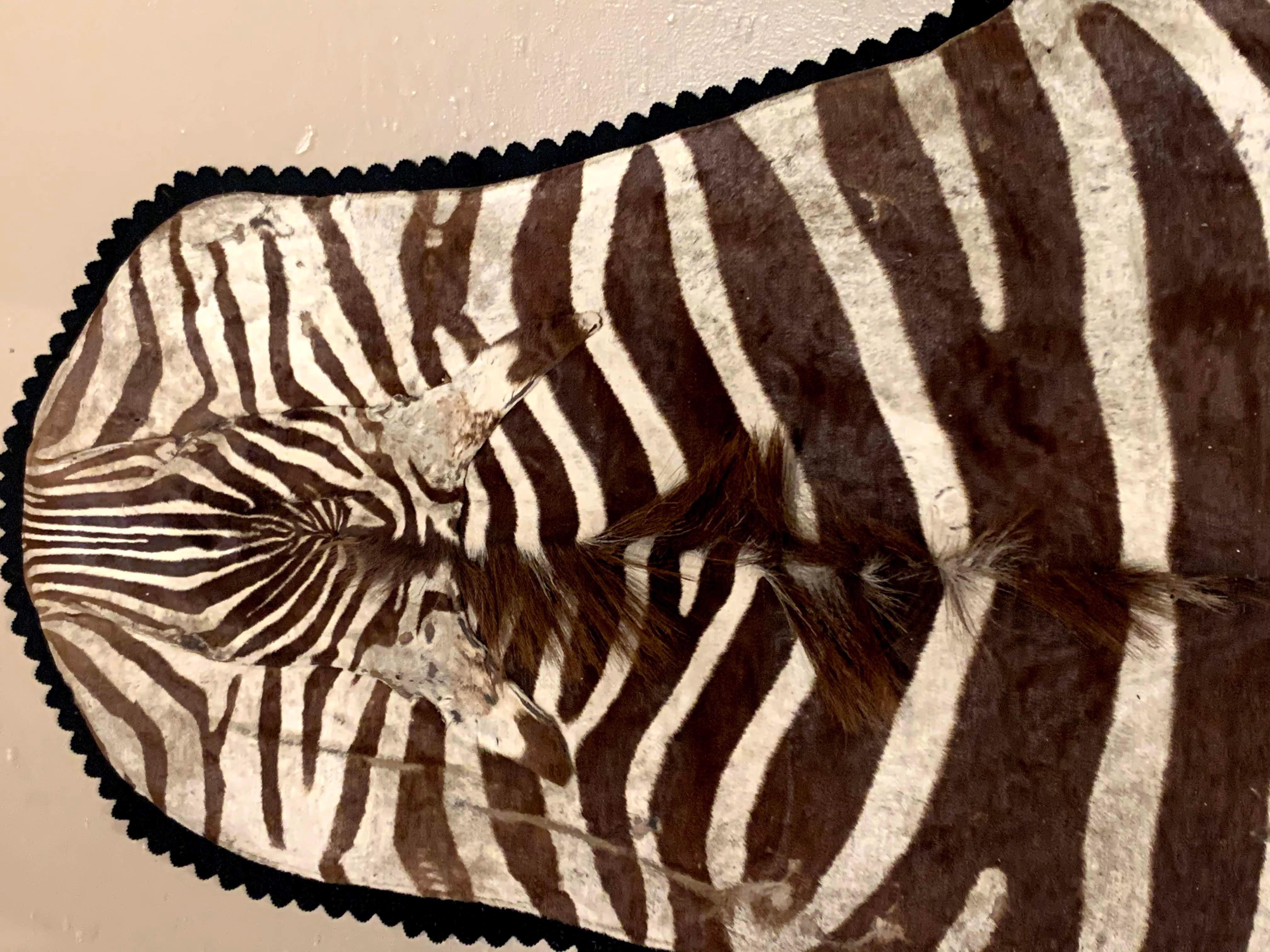 real zebra skin rug