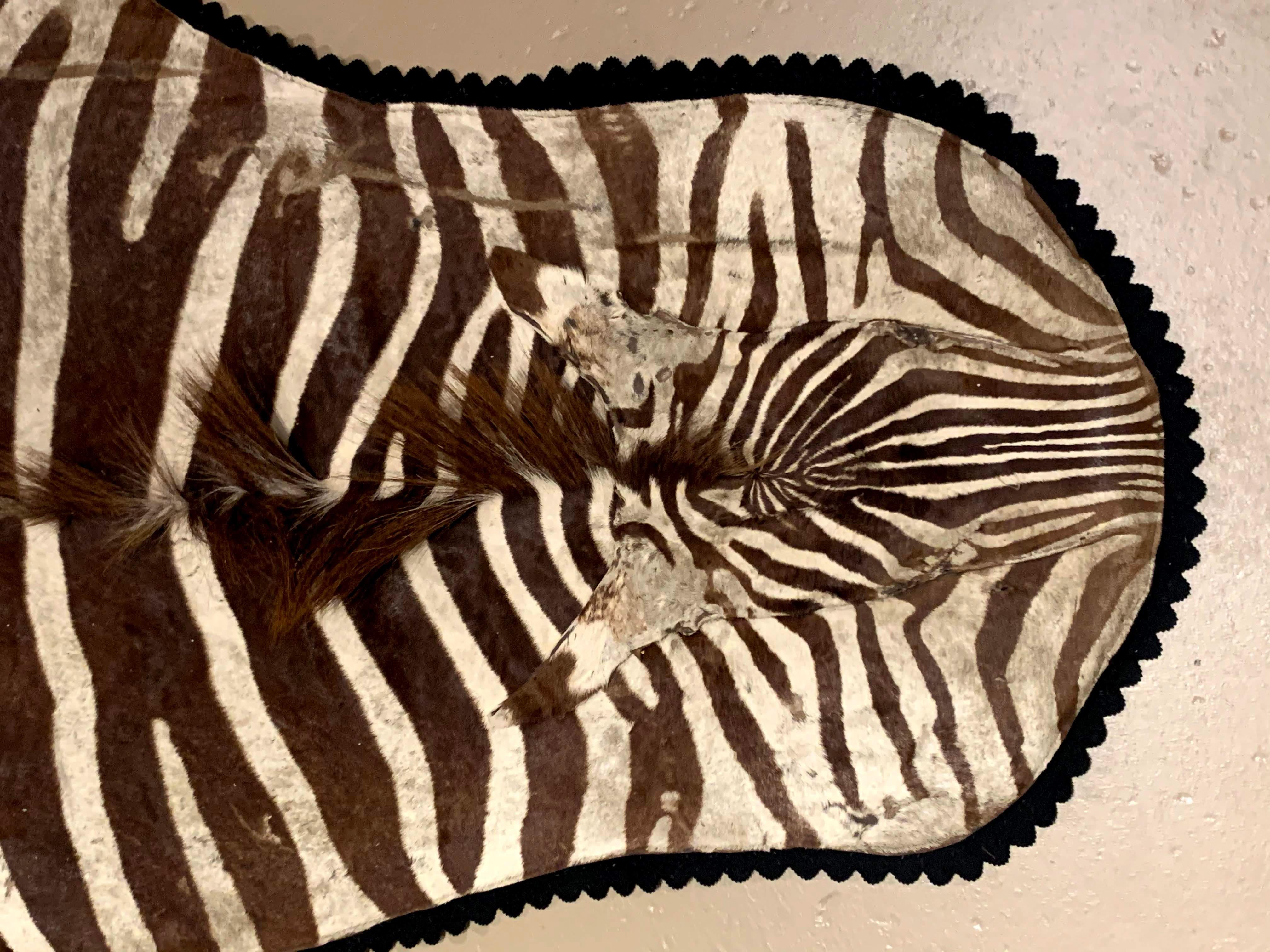 American Vintage Zebra Skin Rug by Jonas Bros Taxidermy Studios, New York