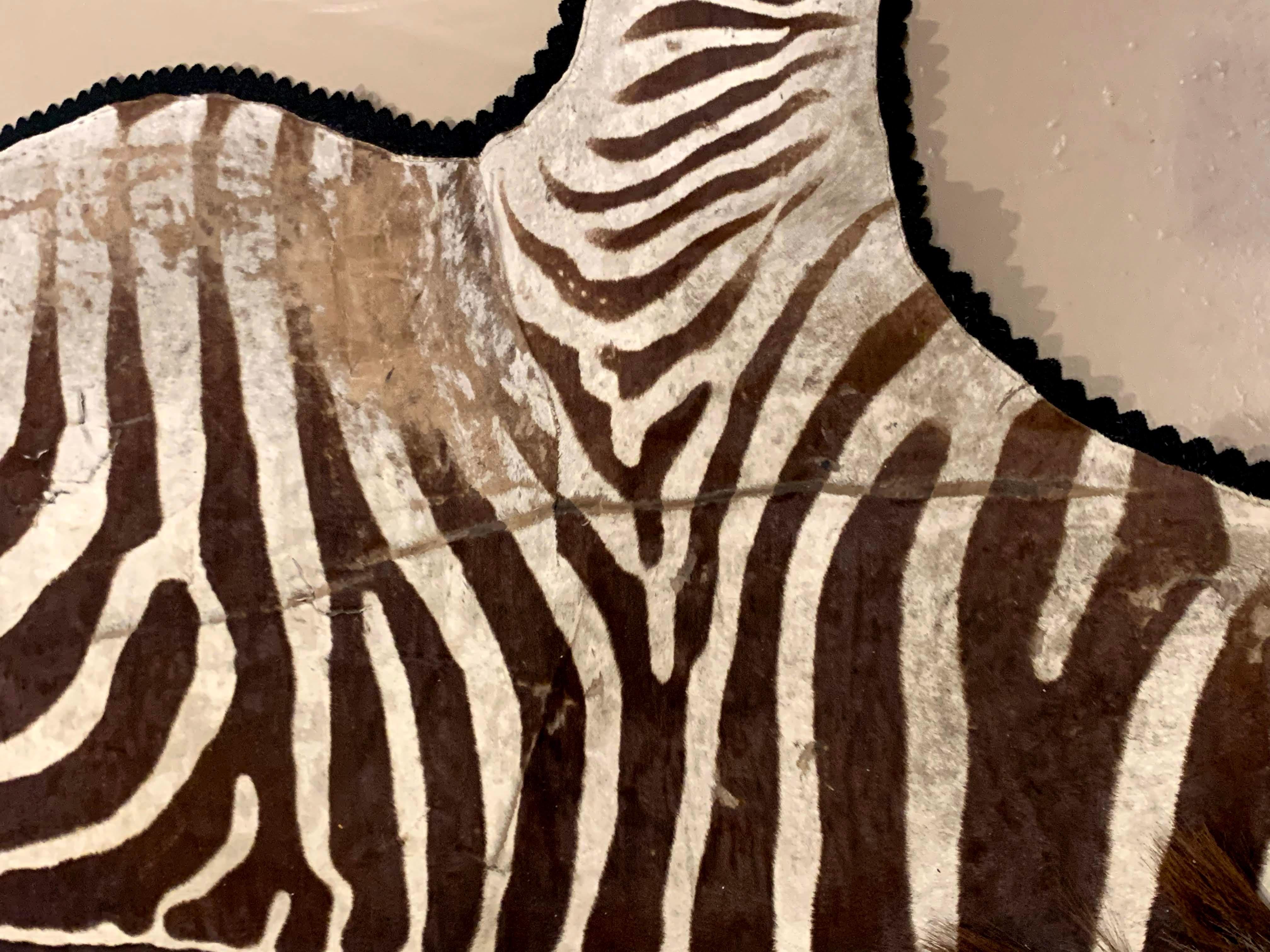Vintage Zebra Skin Rug by Jonas Bros Taxidermy Studios, New York In Good Condition In Milford, NH