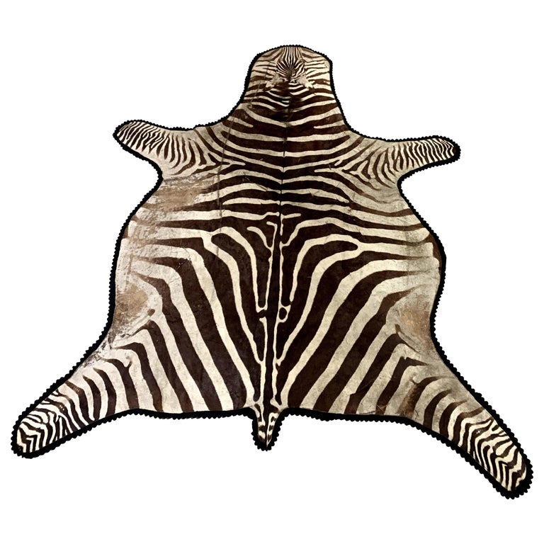 Vintage Zebra Skin Rug by Jonas Bros Taxidermy Studios, New York at 1stDibs
