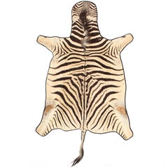 Vintage Zebra Skin Rug