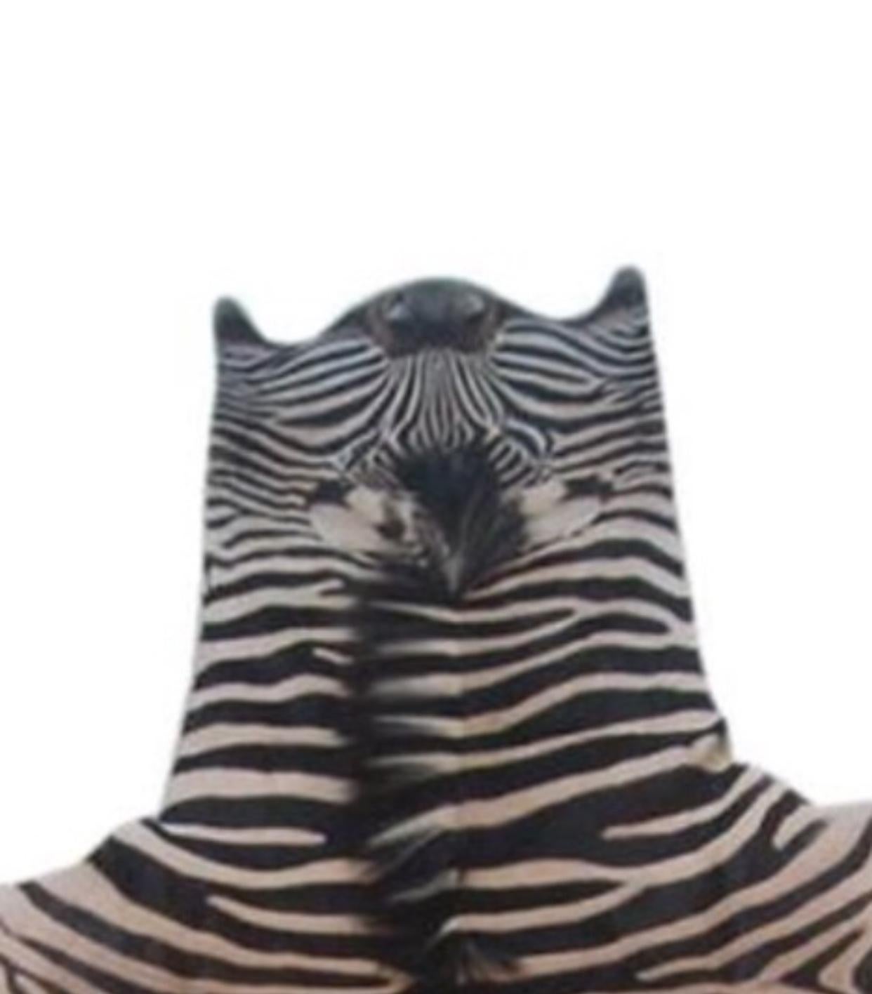 African Vintage Zebra Skin Rug