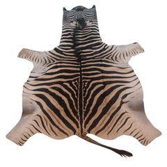 Vintage Zebra Skin Rug