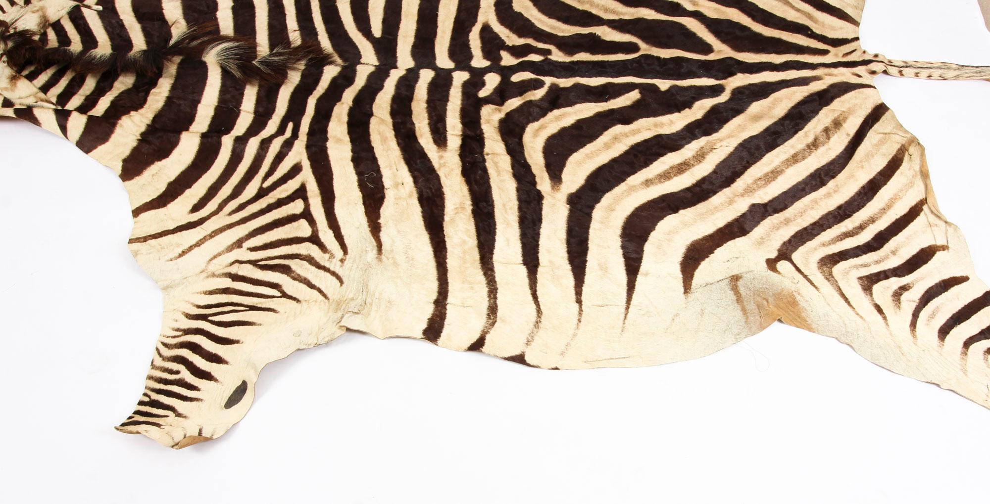 Vintage Zebra Skin Taxidermy Rug, Late 20th Century In Good Condition In London, GB