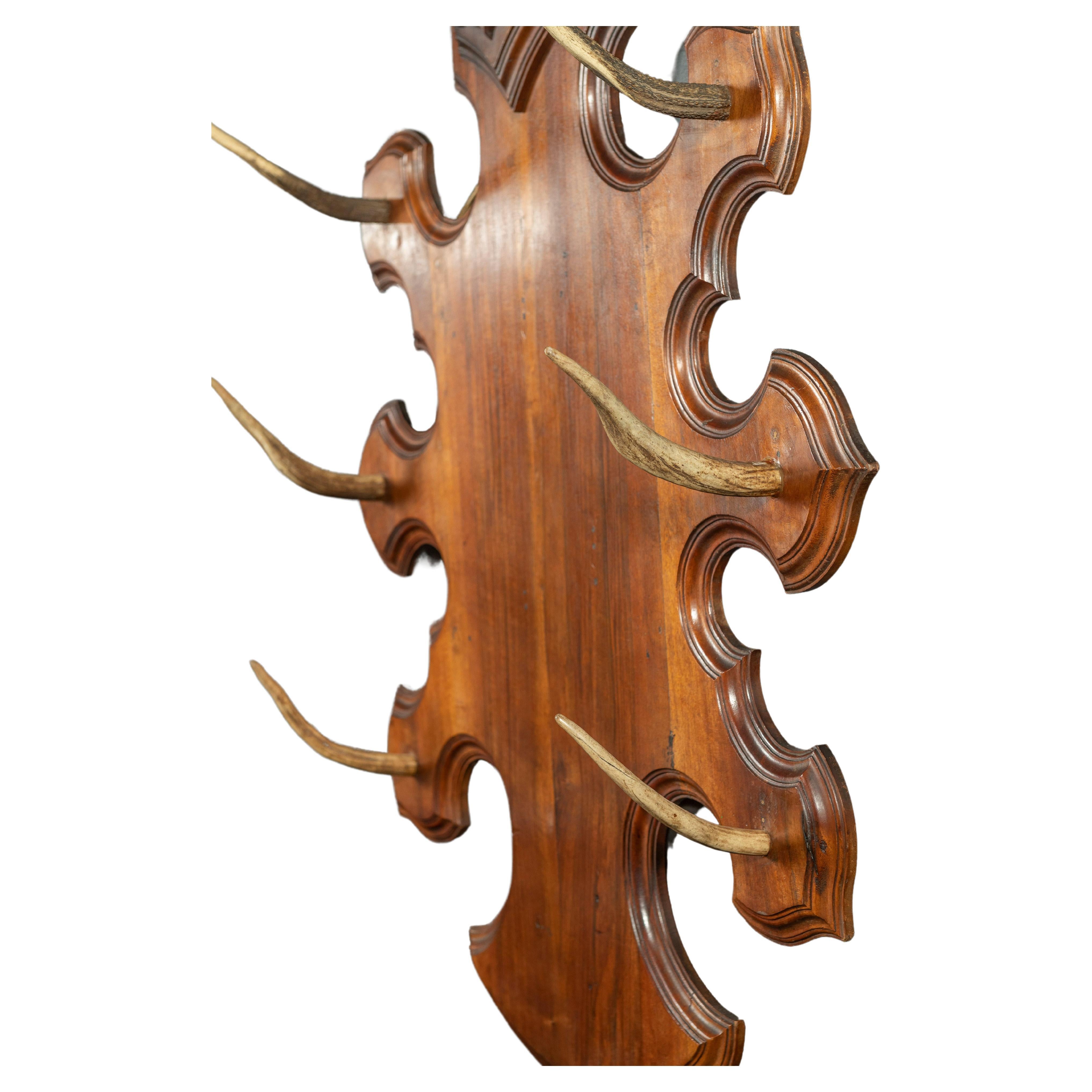 Beautiful vintage carved wooden shield has six antlers and is perfect for an entrance or mud room, gathering hats, coats, jackets and scarves. The shape of the shield appears to have been influenced by furniture of the Black Forest.