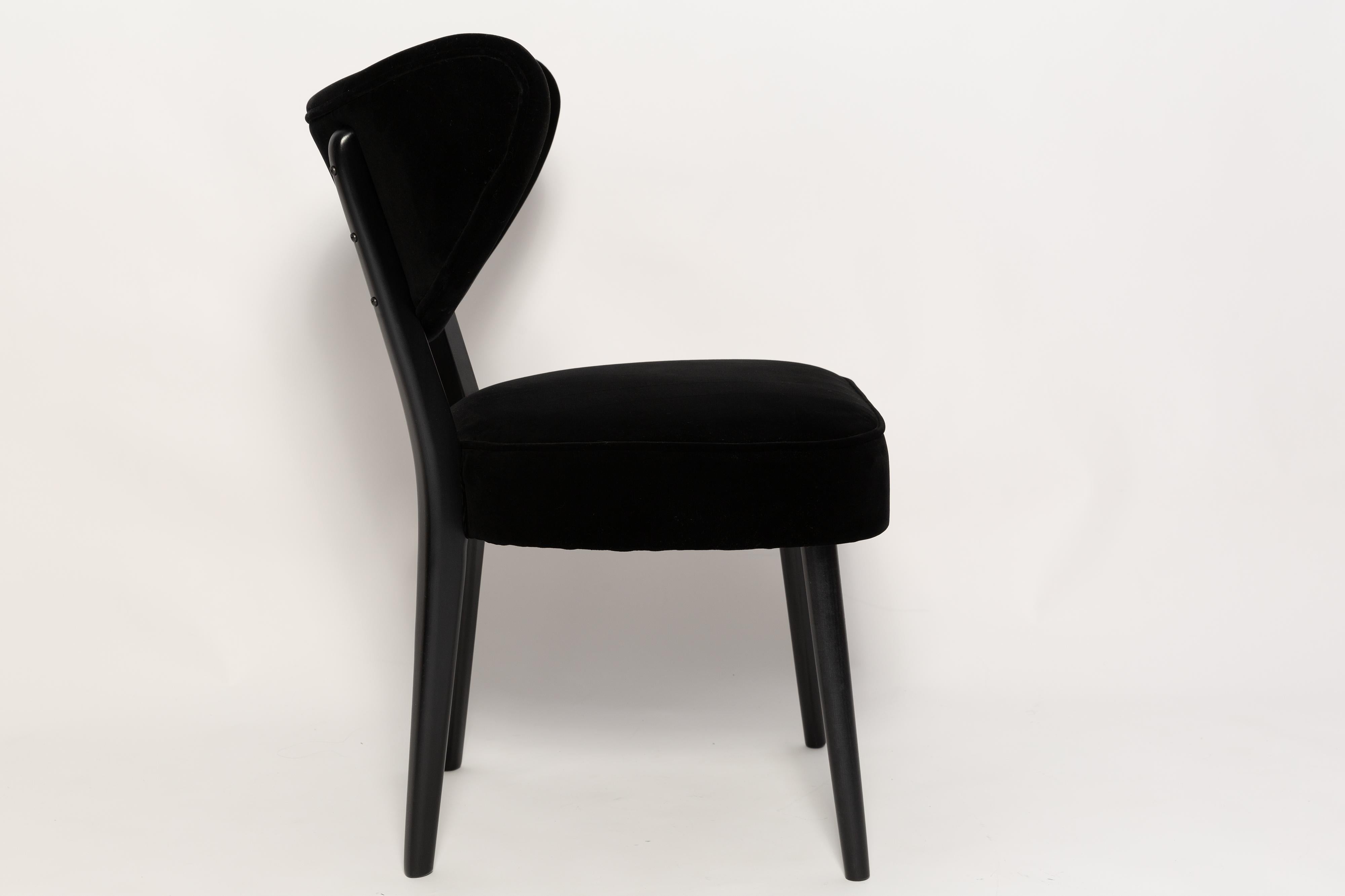 Vintola Dining Chair, Black Velvet Adamo and Eva by Dedar, Europe, Poland In New Condition For Sale In 05-080 Hornowek, PL