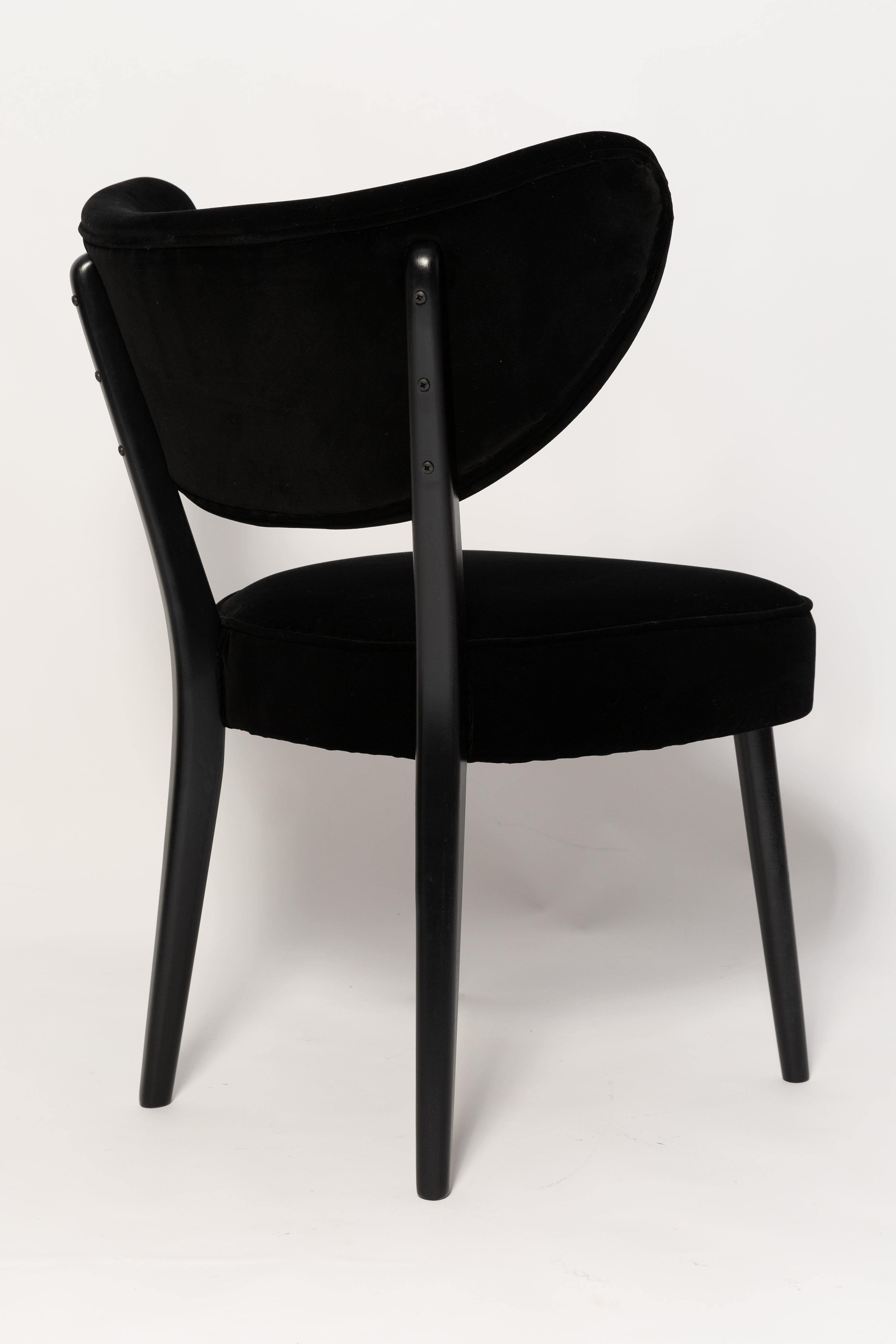 Contemporary Vintola Dining Chair, Black Velvet Adamo and Eva by Dedar, Europe, Poland For Sale