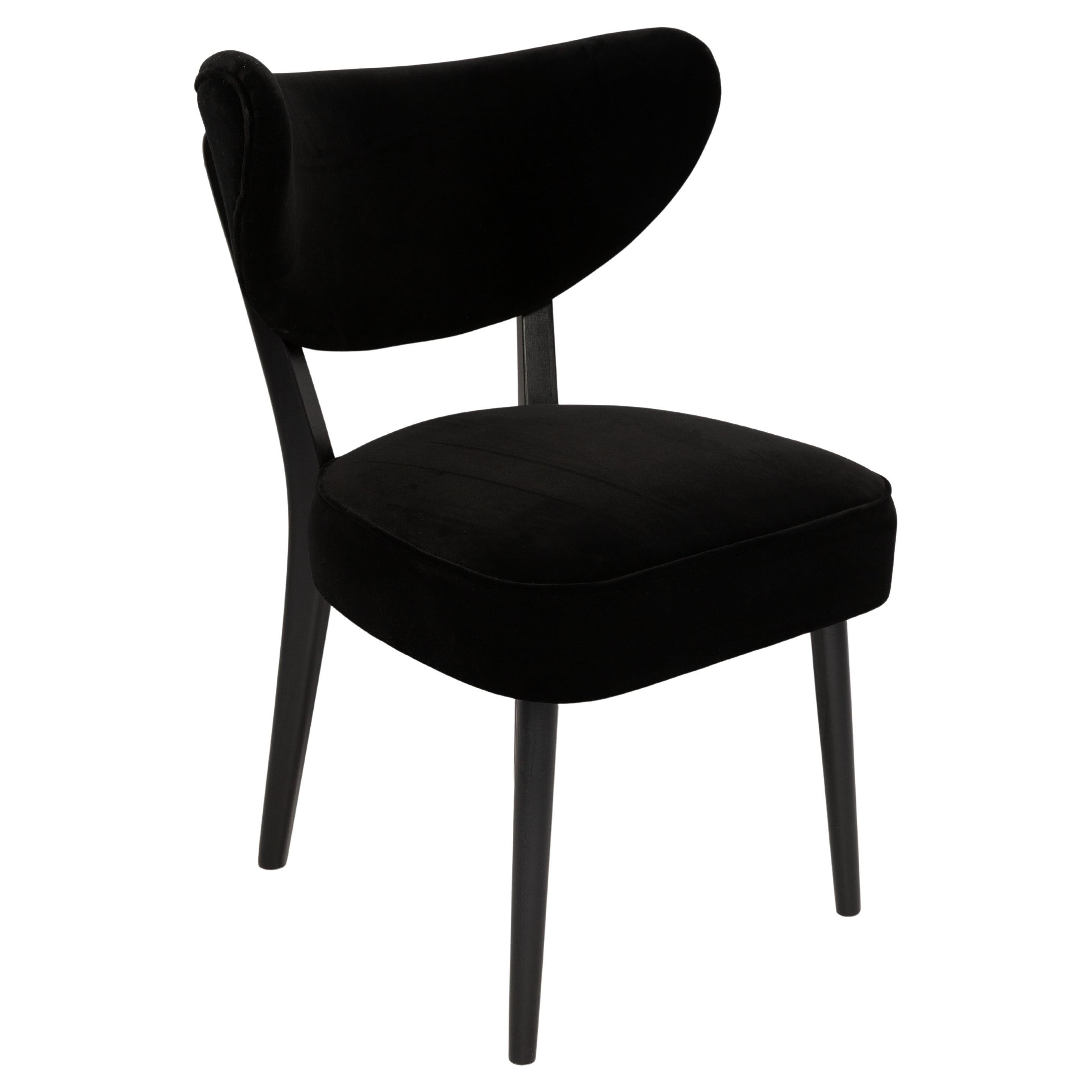 Vintola Dining Chair, Black Velvet Adamo and Eva by Dedar, Europe, Poland