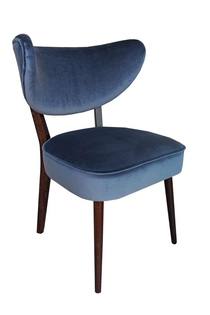 Vintola Studio Esszimmerstuhl, Marineblauer Samt Stauden Stoff, Europa, Polen (Polnisch) im Angebot