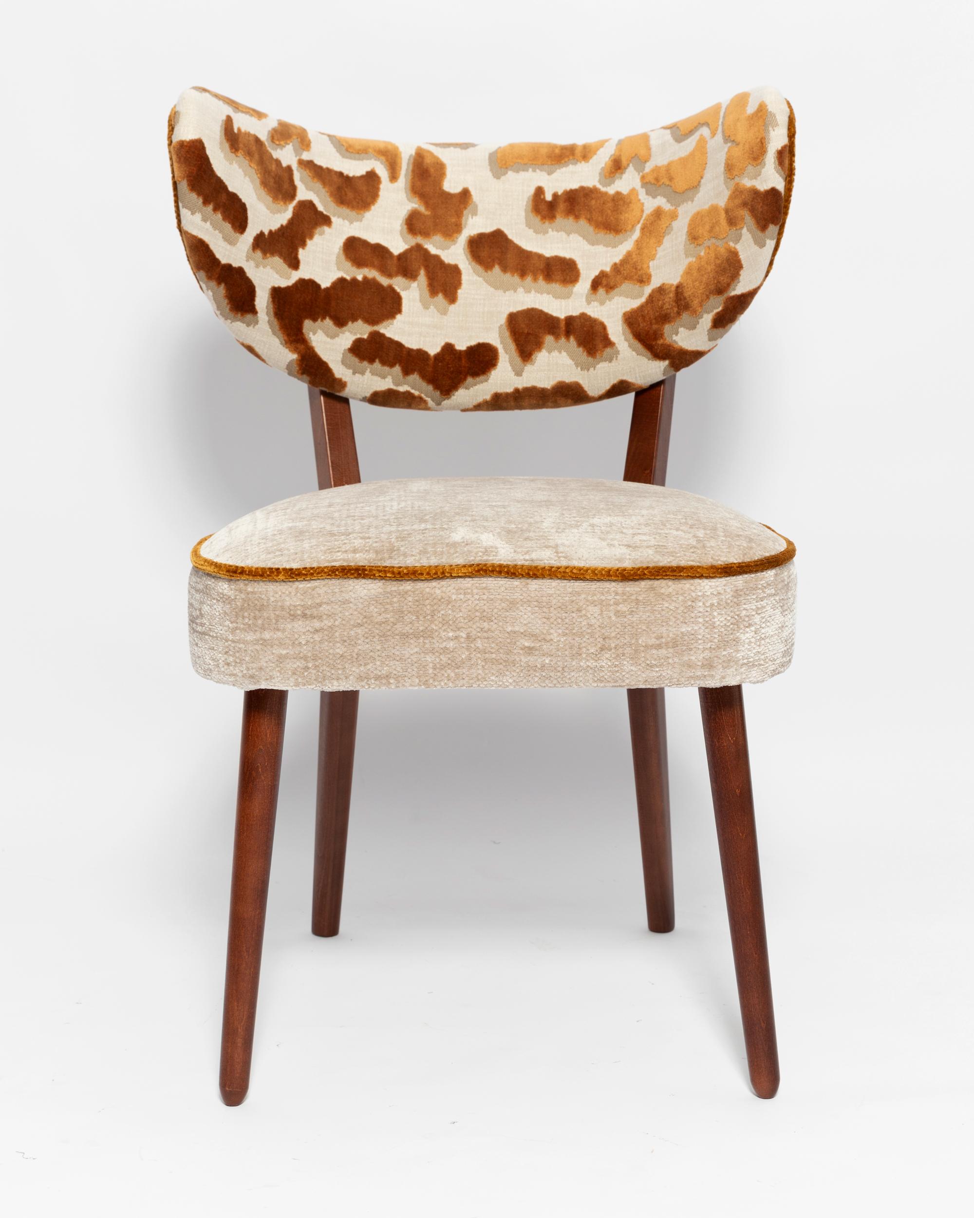 Vintola Studio Sechs Esszimmerstühle, Casamance DEMOISELLE und Nimbus-Stoff (Moderne der Mitte des Jahrhunderts) im Angebot