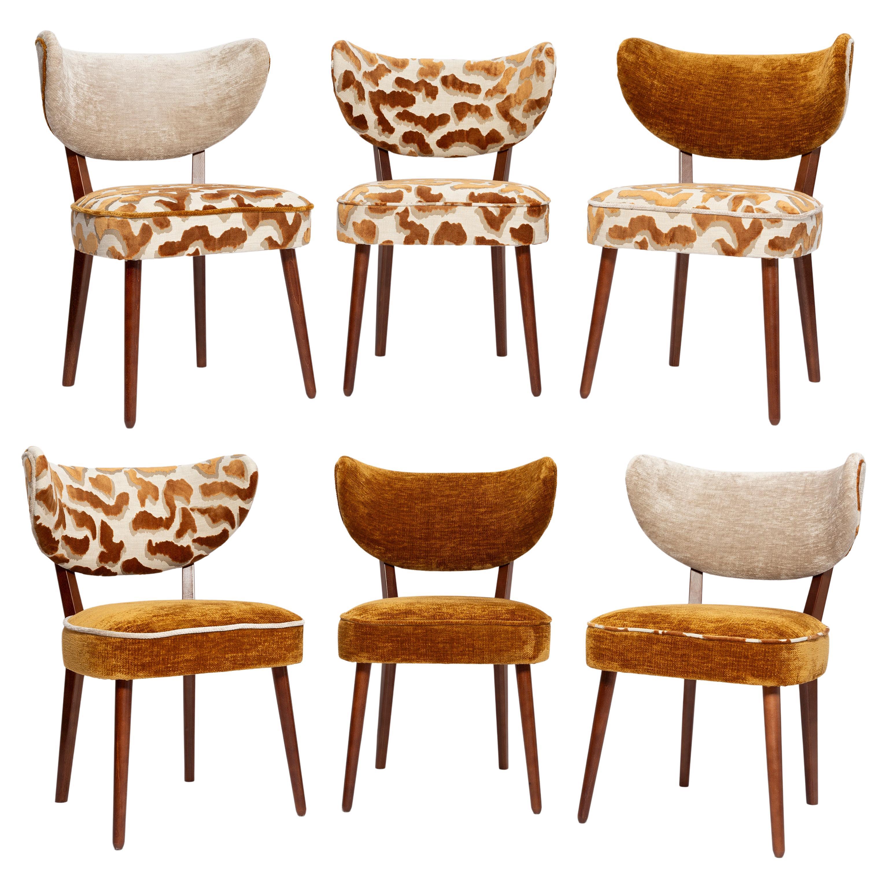 Vintola Studio Six Dining Chairs, Casamance DEMOISELLE and Nimbus Fabric