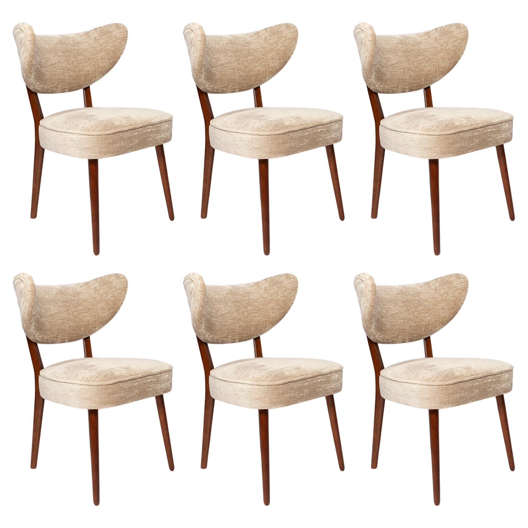 Vintola Studio Sechs Esszimmerstühle, Casamance DEMOISELLE Stoff, Europa, Polen