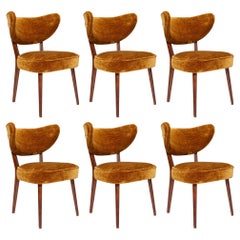 Vintola Studio Six chaises de salle à manger, tissu Casamance DEMOISELLE, Europe, Pologne