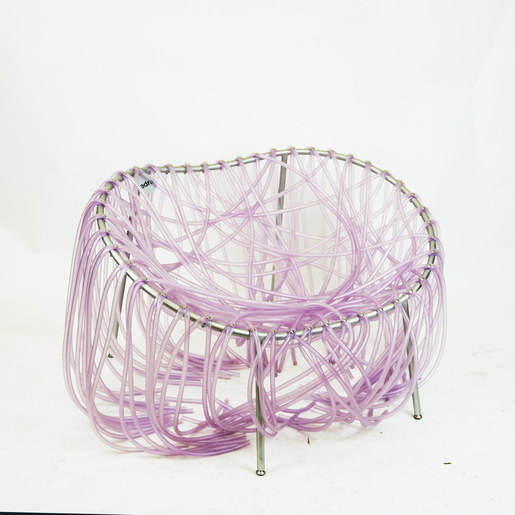 morosoi violeta