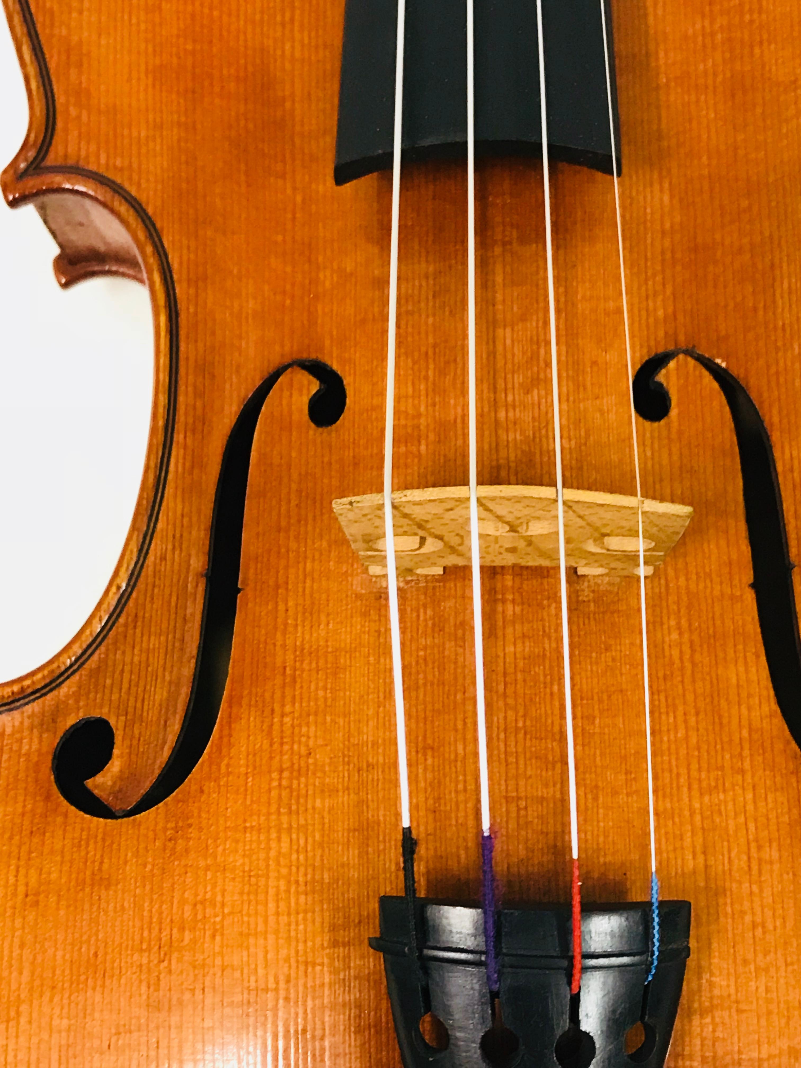 Violin, Fritz Mönnig Markneukirchen, 1923 For Sale 3