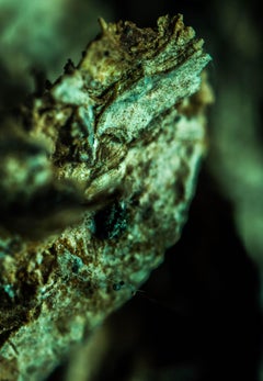 "Viper", Limitierte Auflage, Abstrakte Fotografie von Marko Milić