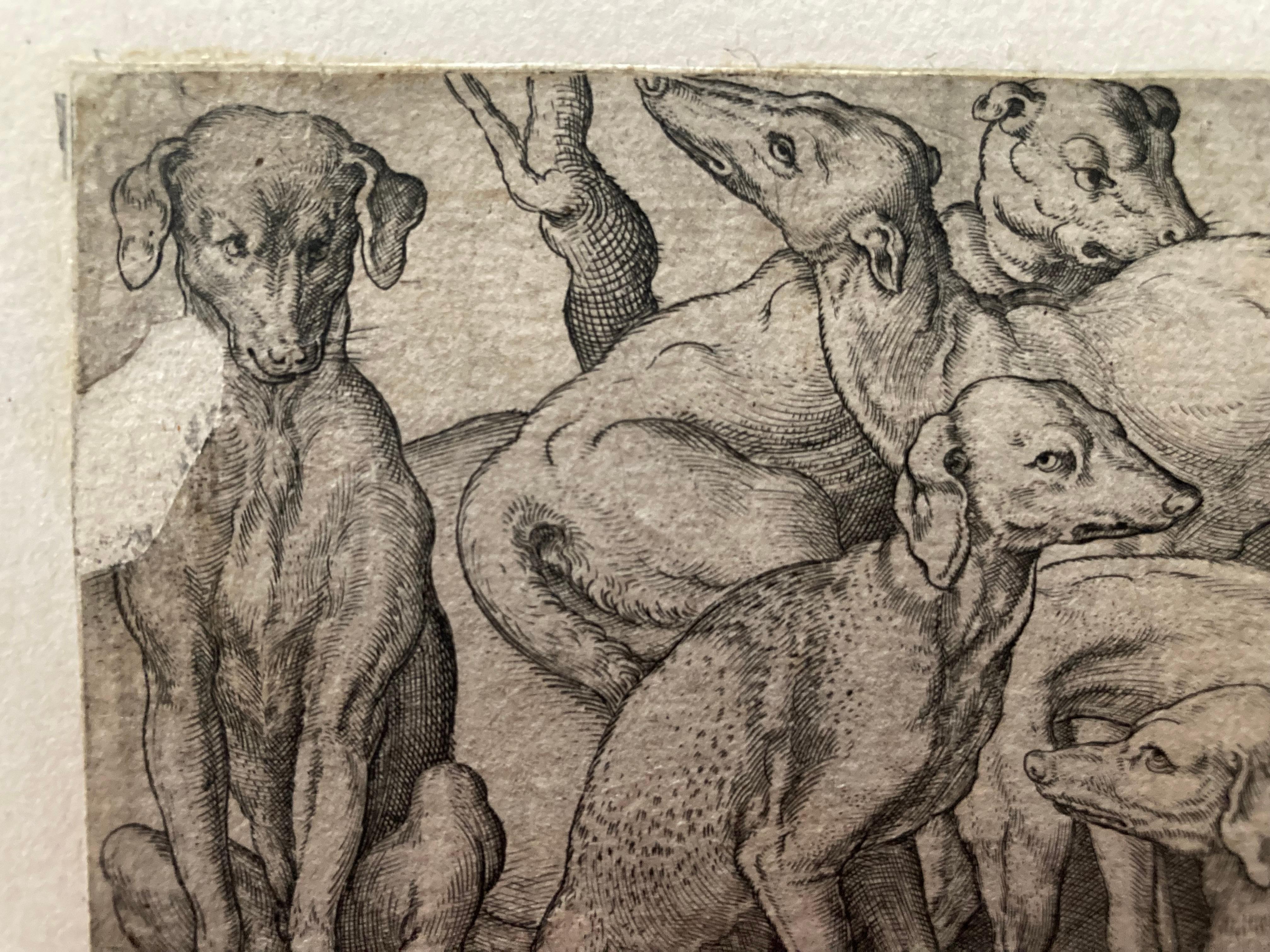 Renaissance-Gravur, Hunde, Virgil Solis, 16. Jahrhundert, Alter Meister, Papierkunst 2