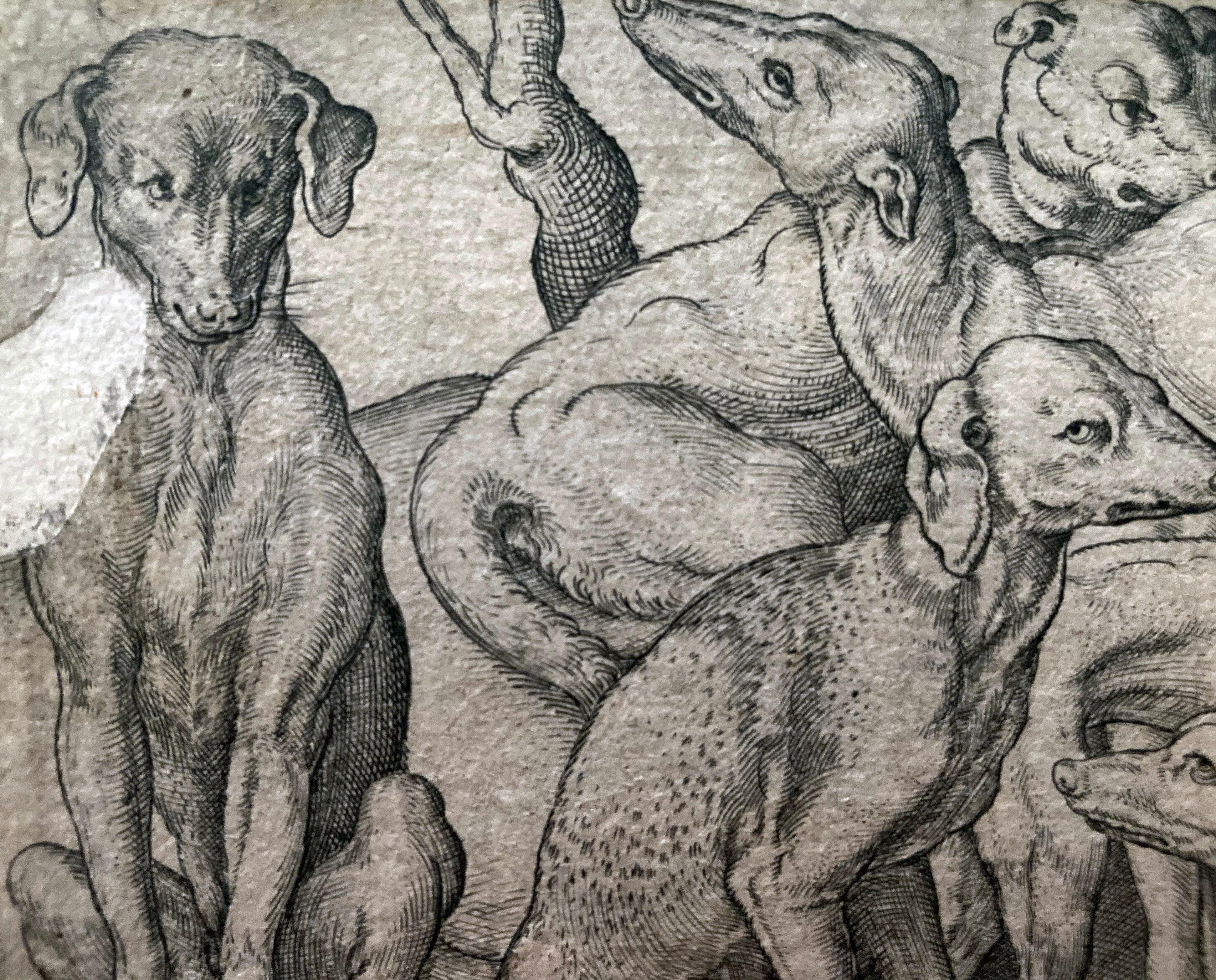 Kupferstich des Künstlers Virgil Solis, Sechs Hunde; stehend, liegend und sitzend zwischen Bäumen.
Kupferstich, angefertigt von Virgil Solis. 
Deutsch, um 1530-1562. 
Signiert mit dem Monogramm "VS" unten links ineinander