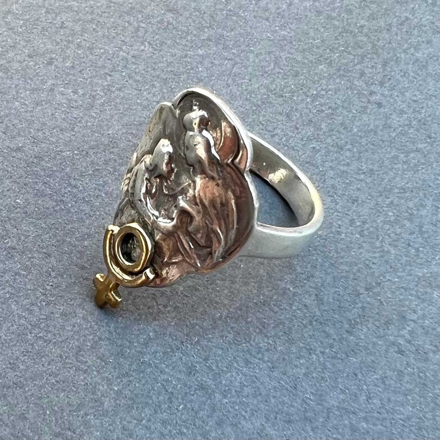 Medalla de la Virgen María Anillo de Plutón Plata Oro Astrología J DAUPHIN 1