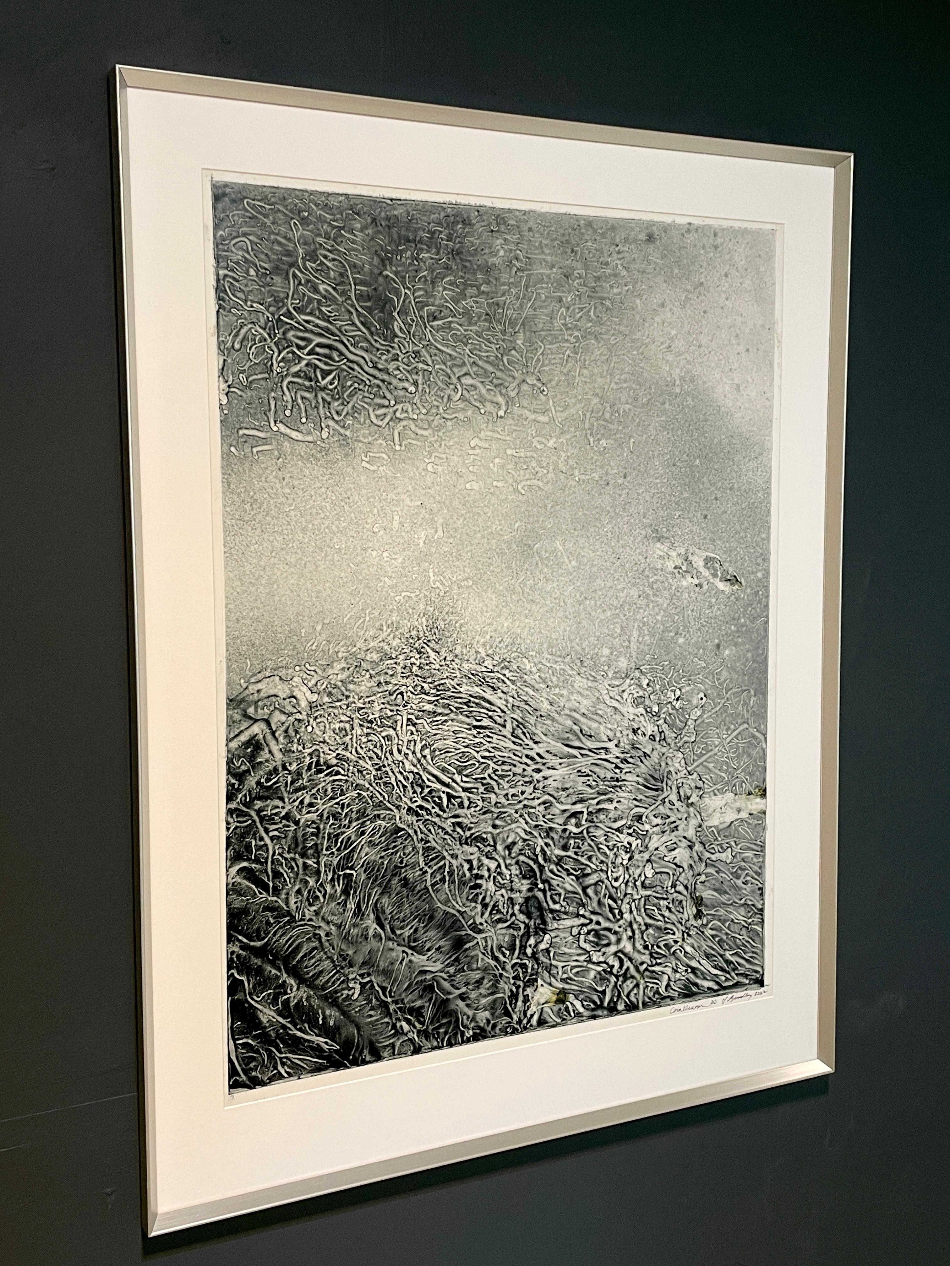 Corallium 20 is an example of a bleached coral.  When the sea temperature rises 1 °C above the normal temperature all the algae in the reef is killed and the coral begins the bleaching process, turning the coral white.  The coral reefs become white