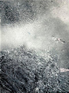 Corallium 20