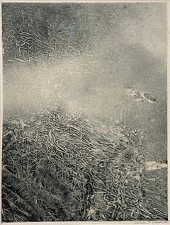 Corallium 20