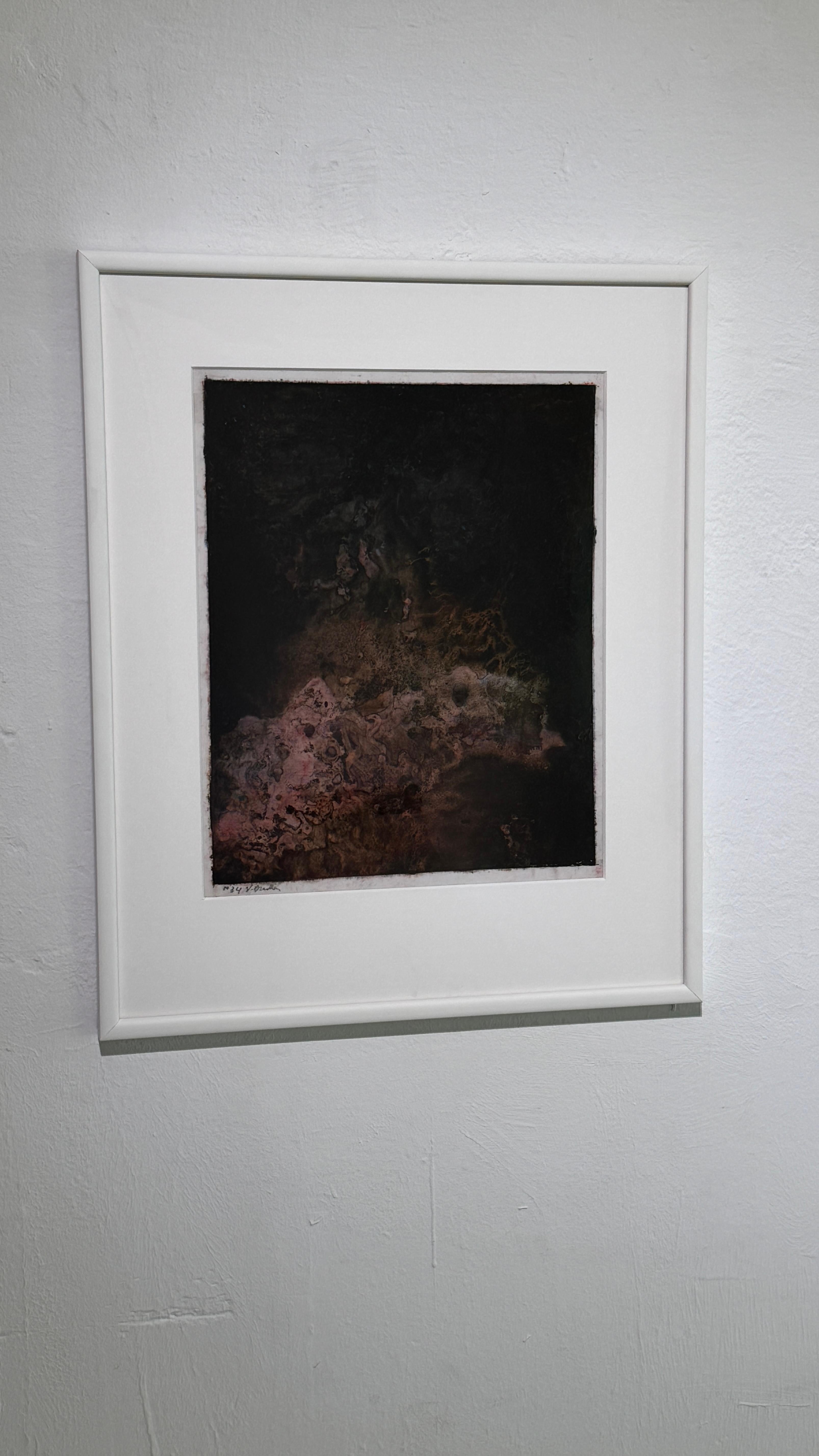 Corallium 34 - Painting by Virginia Bradley