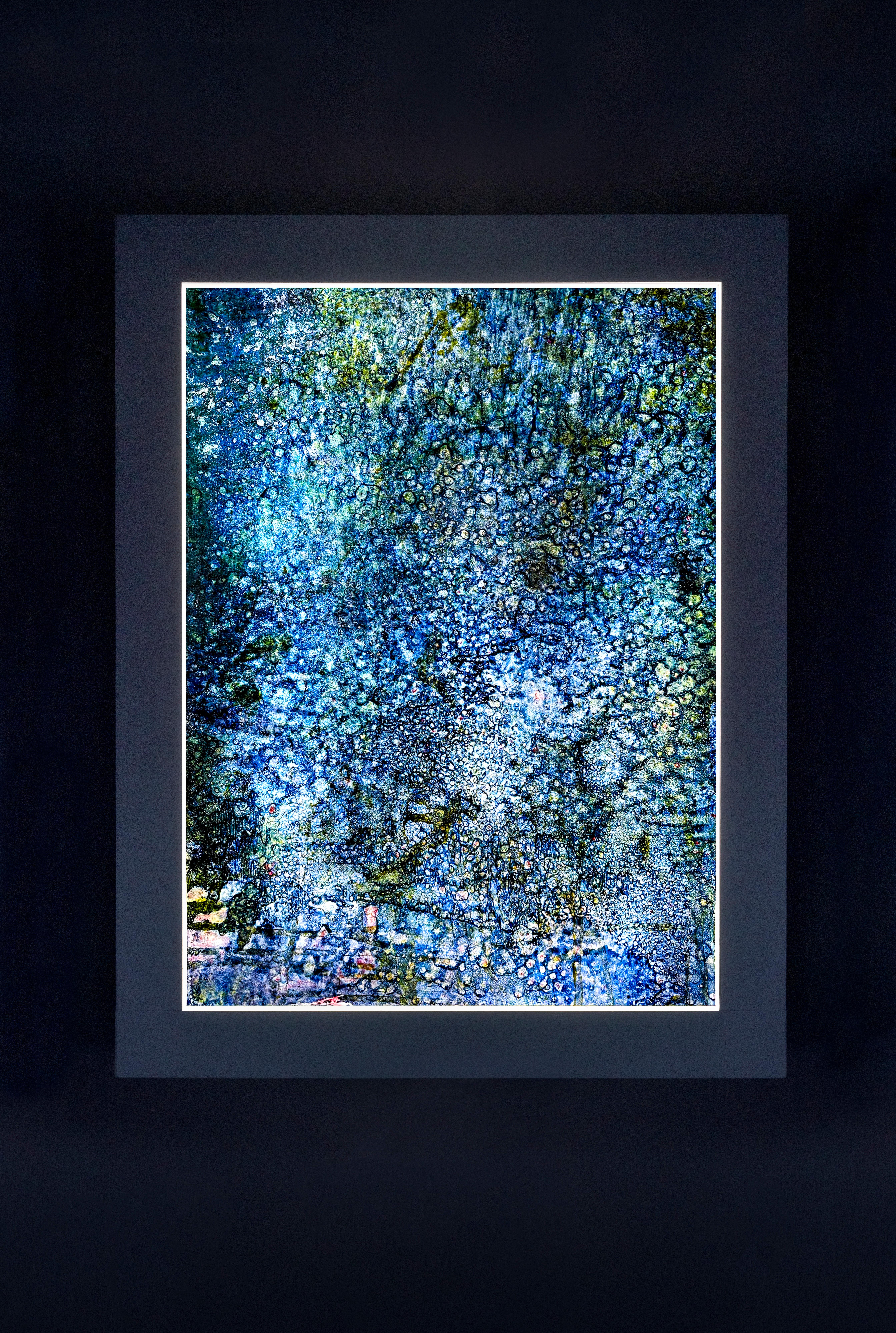 Corallium 41 - Painting de Virginia Bradley