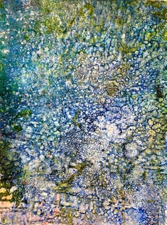 Corallium 41