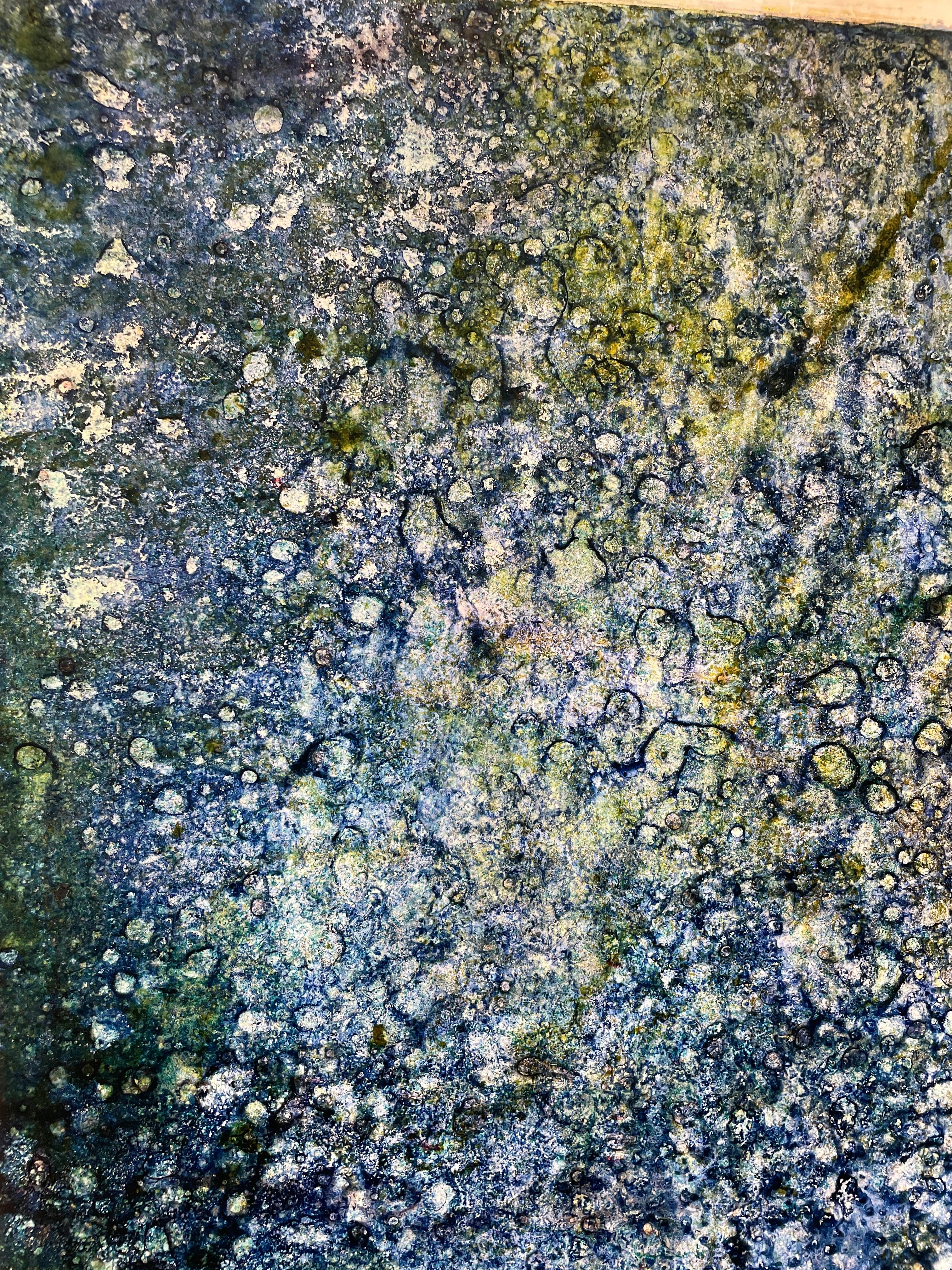 Corallium 41 (Blau), Abstract Painting, von Virginia Bradley