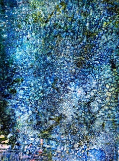 Corallium 41